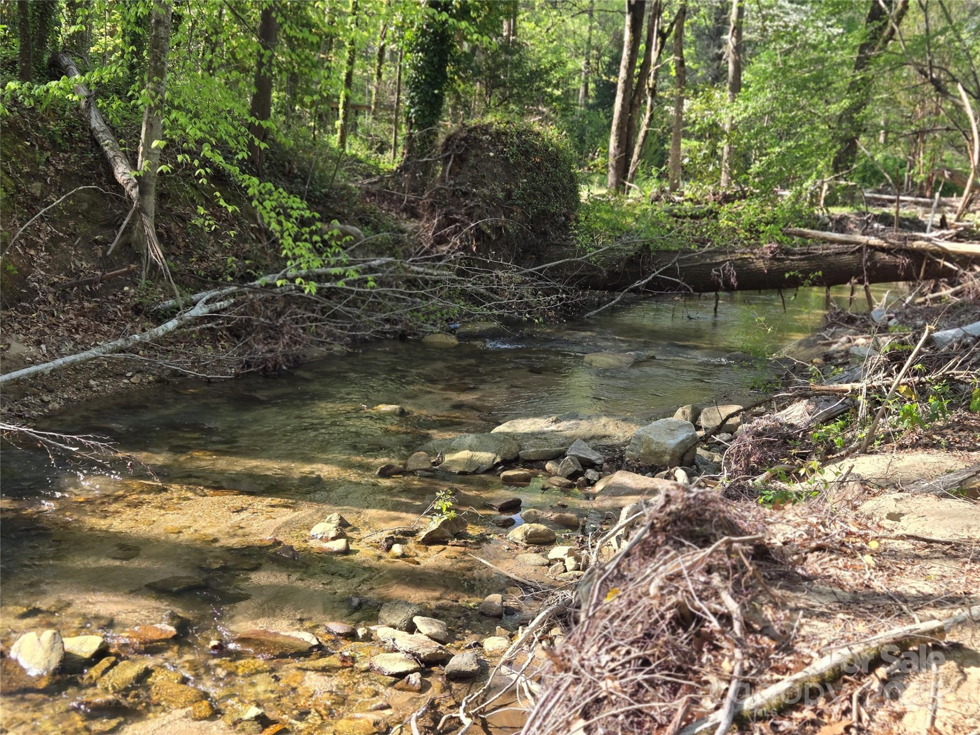 Lot 164 Spanarkel Lane - Photo 10