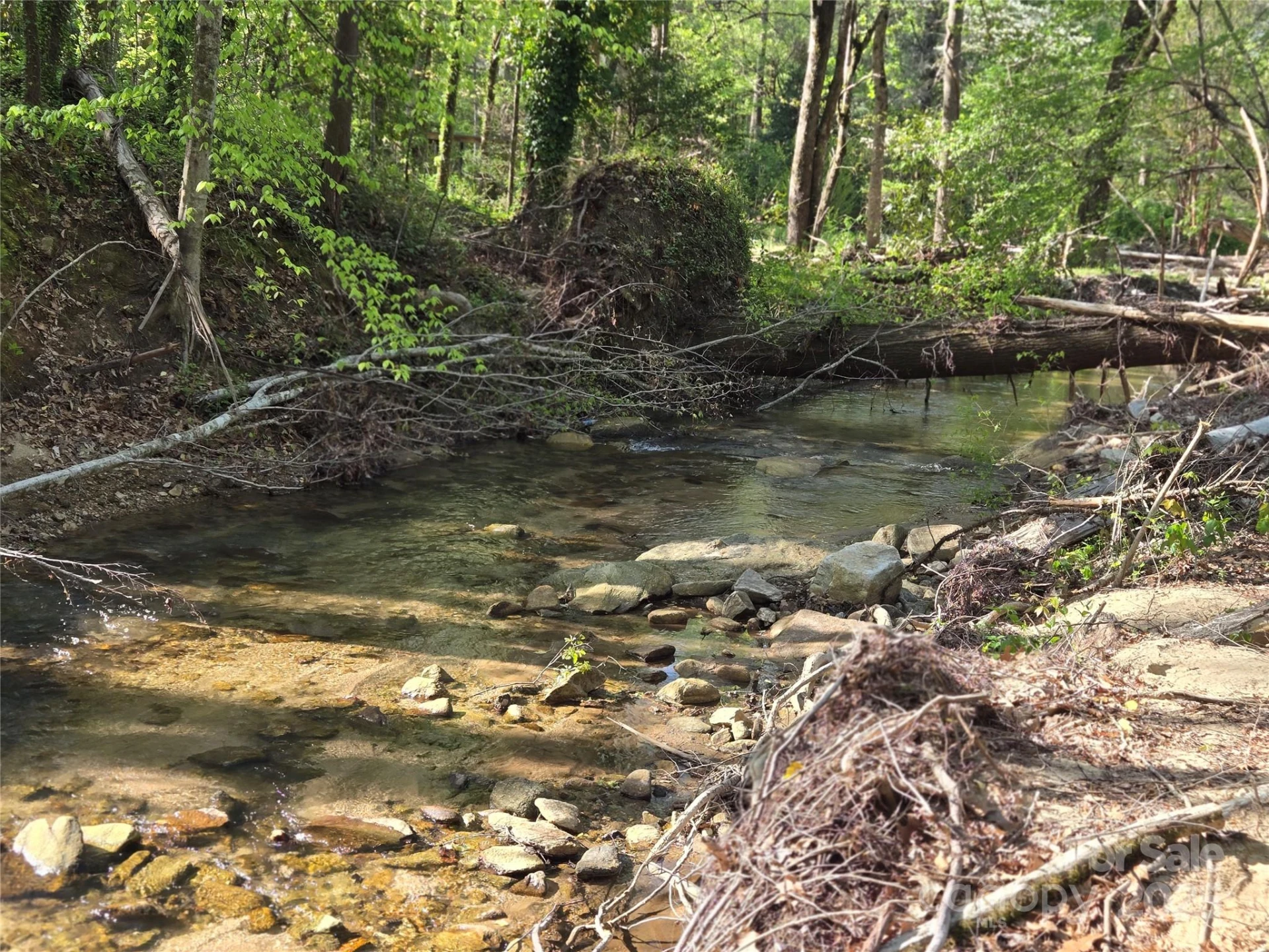 Lot 164 Spanarkel Lane - Photo 10