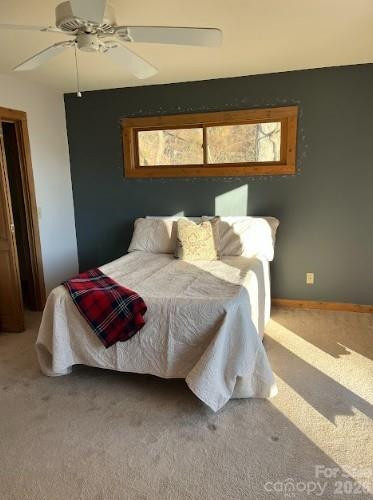 1426 Setzer Cove Road - Photo 17