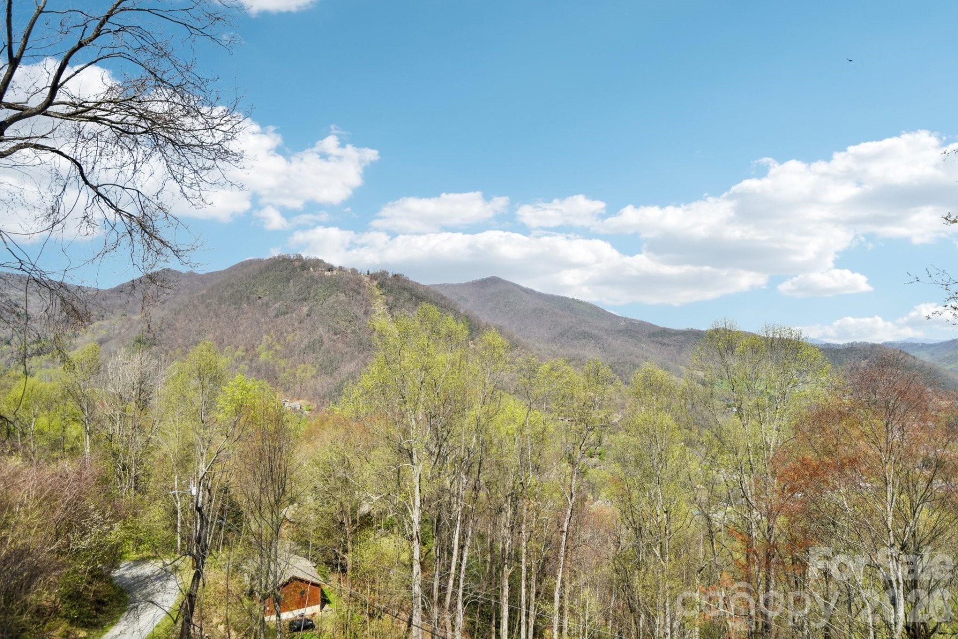 1426 Setzer Cove Road - Photo 34