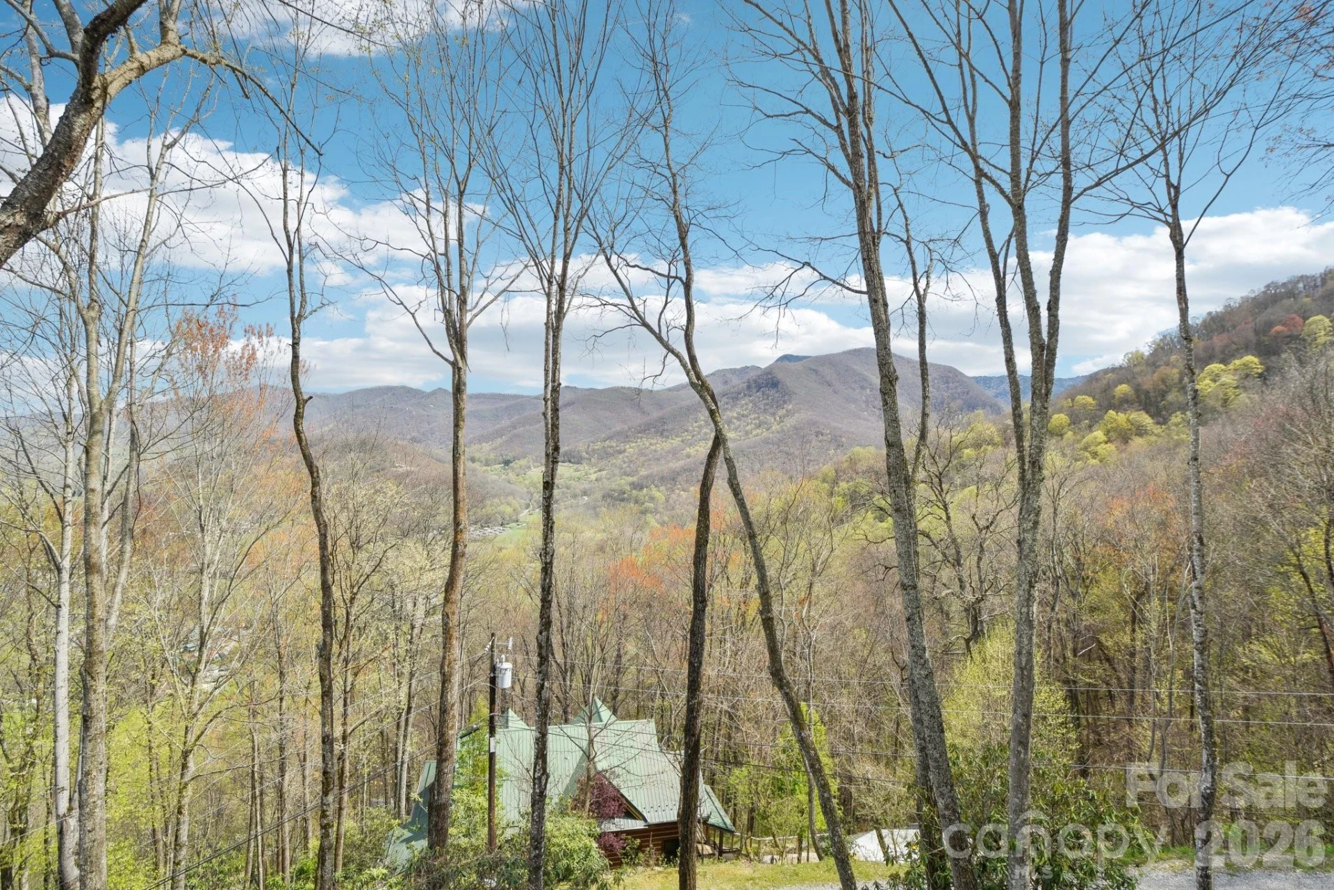 1426 Setzer Cove Road - Photo 34