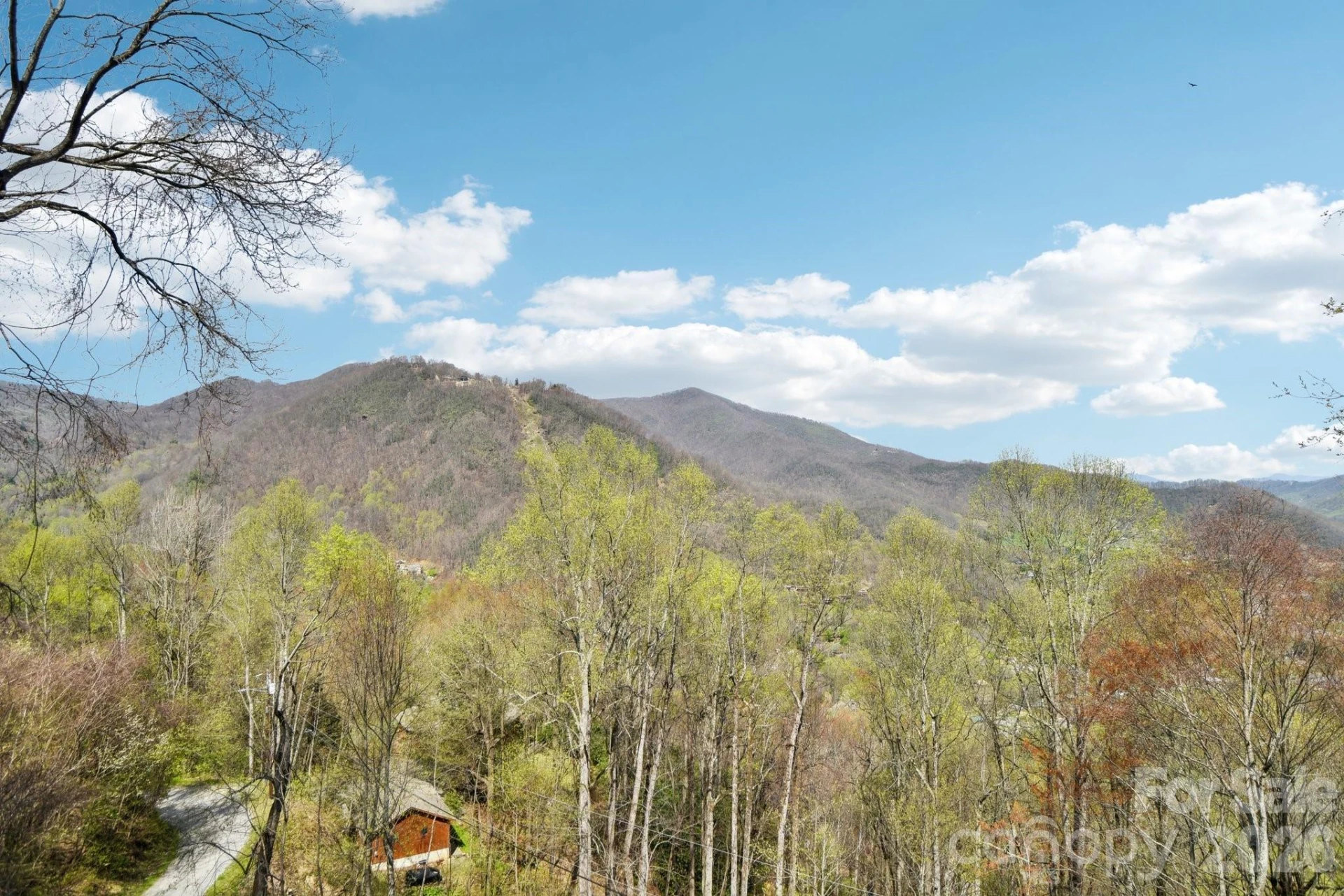 1426 Setzer Cove Road - Photo 35