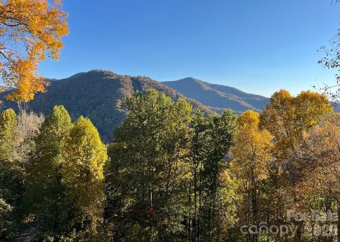 1426 Setzer Cove Road - Photo 36