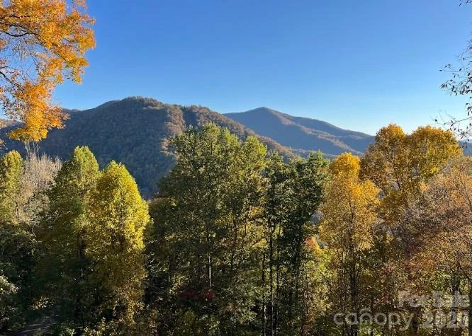 1426 Setzer Cove Road - Photo 37