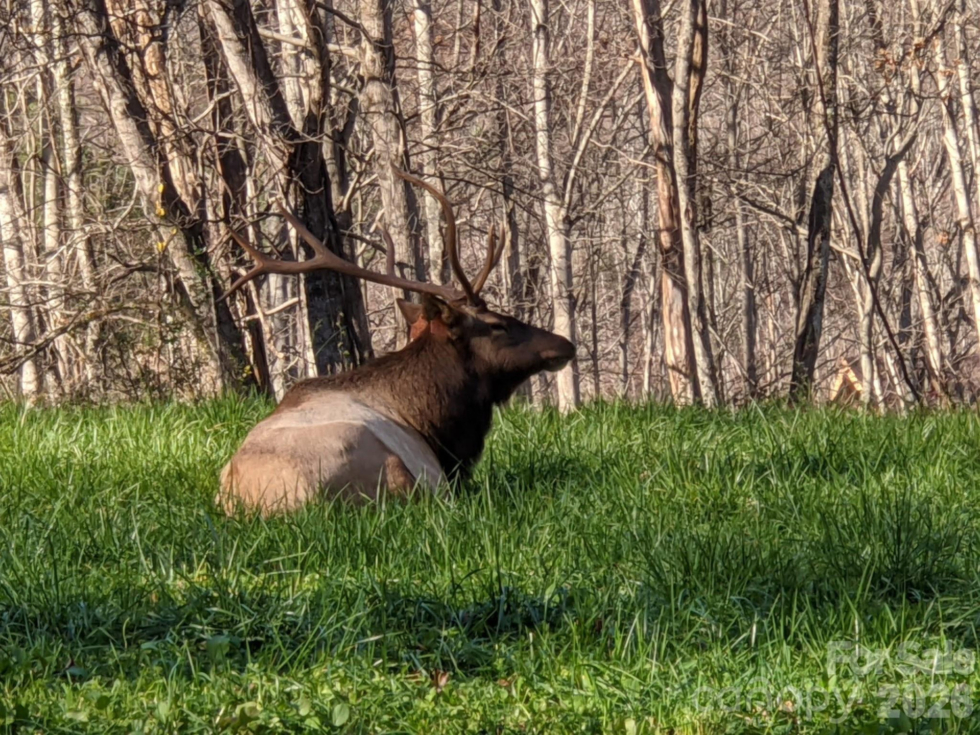 1426 Setzer Cove Road - Photo 46