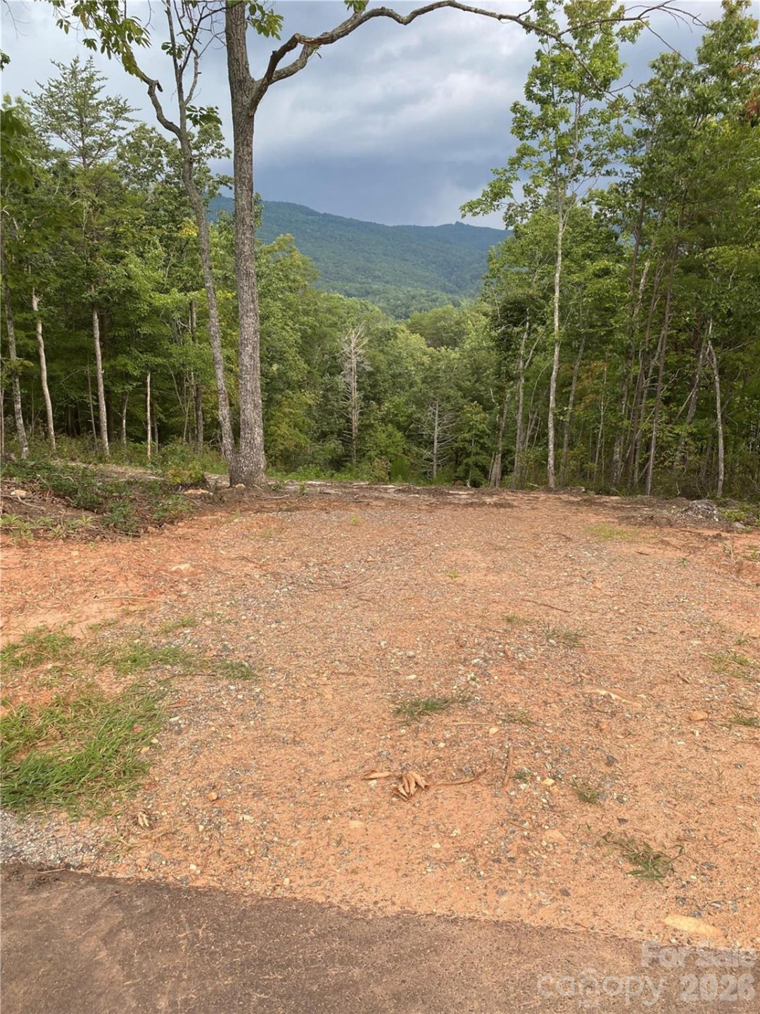 1 Jackson Ridge Lane - Photo 3