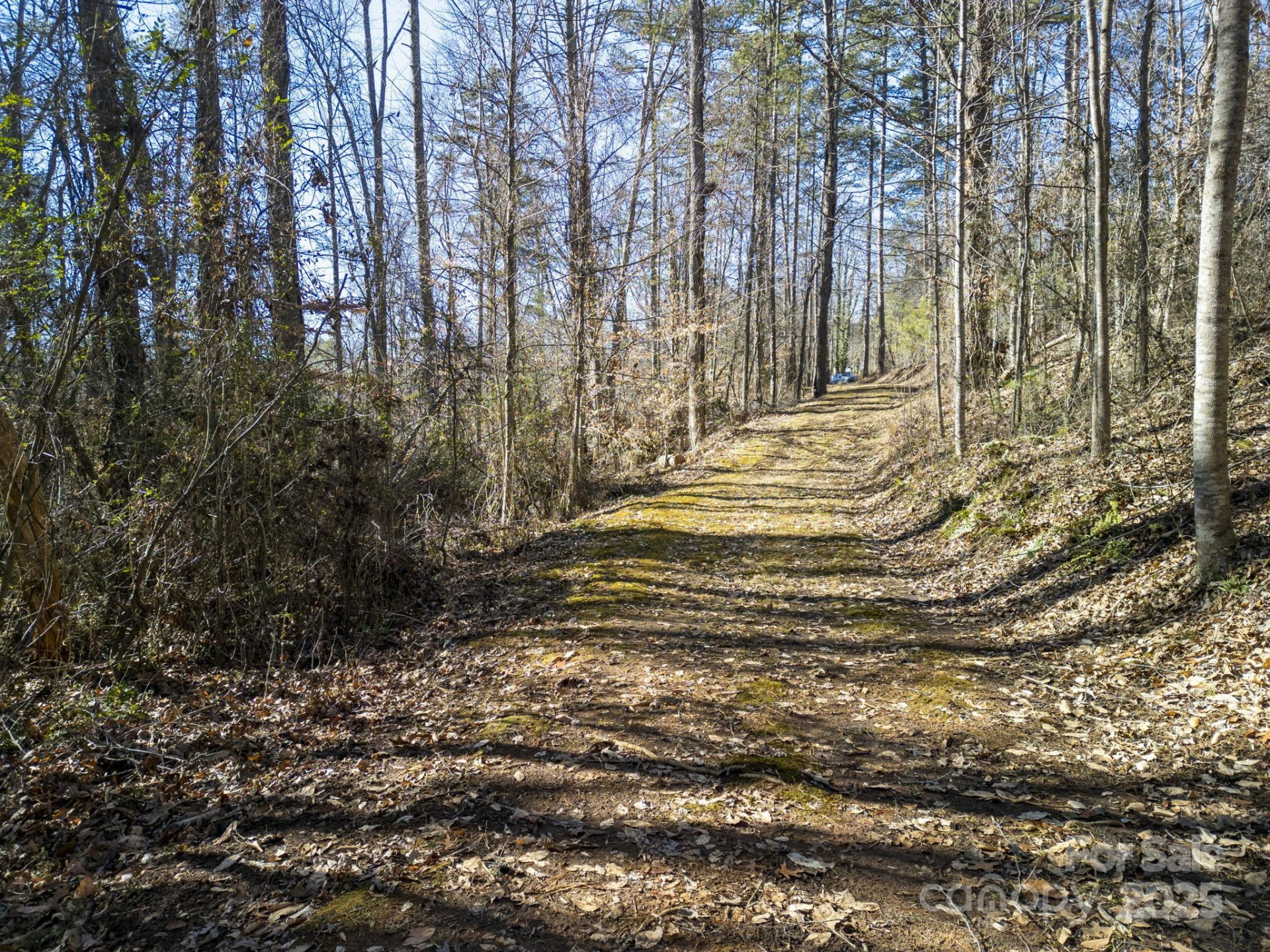 99999 Monticello Road - Photo 3