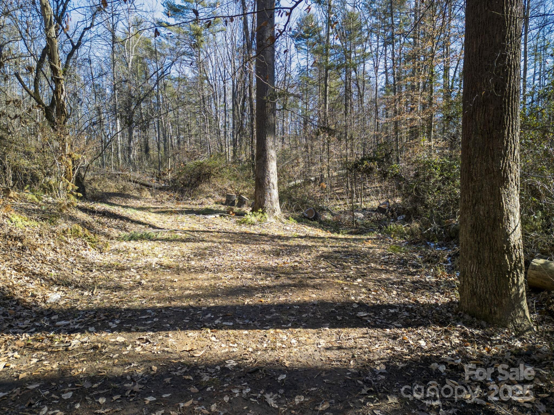 99999 Monticello Road - Photo 4