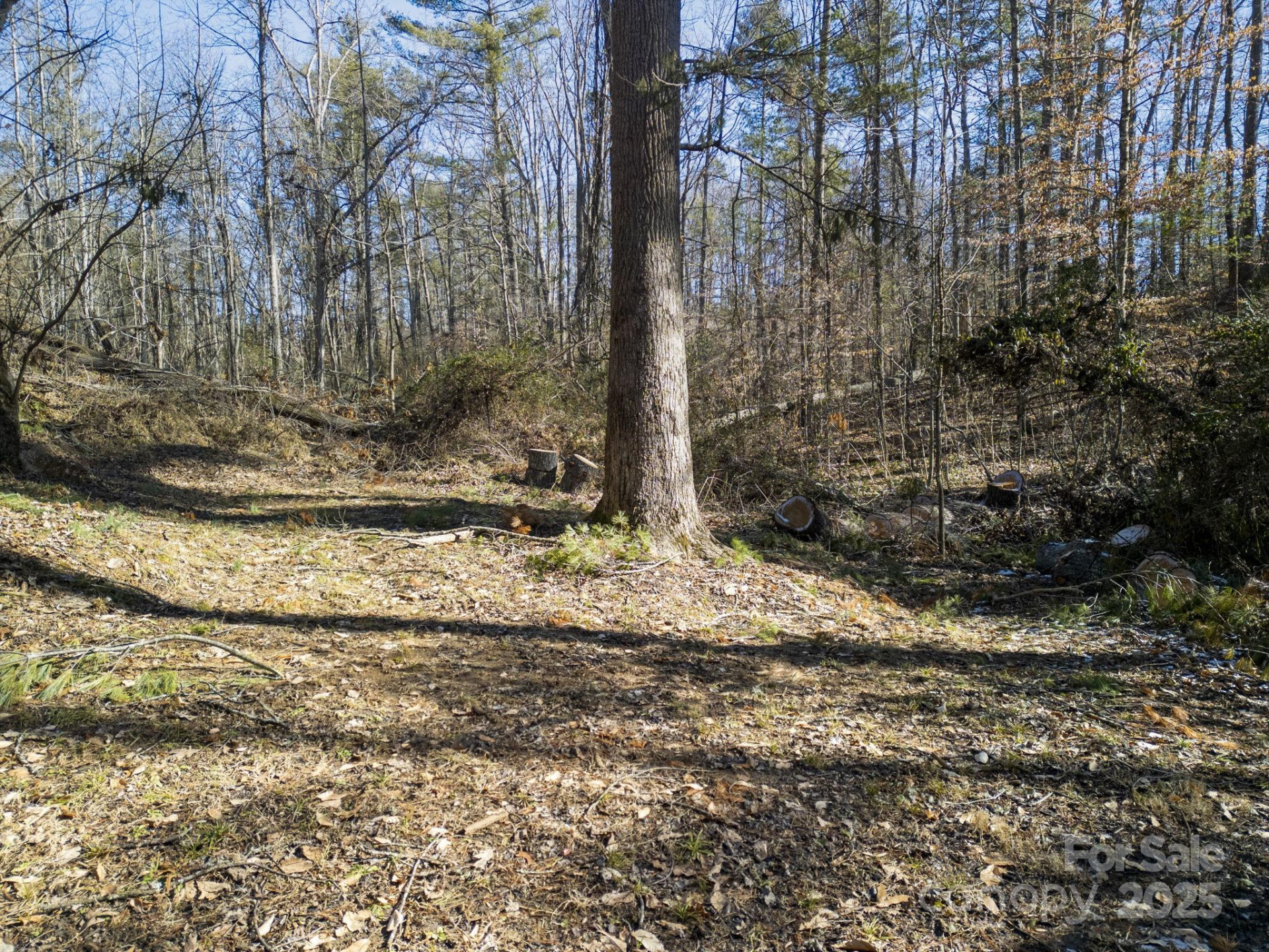 99999 Monticello Road - Photo 5