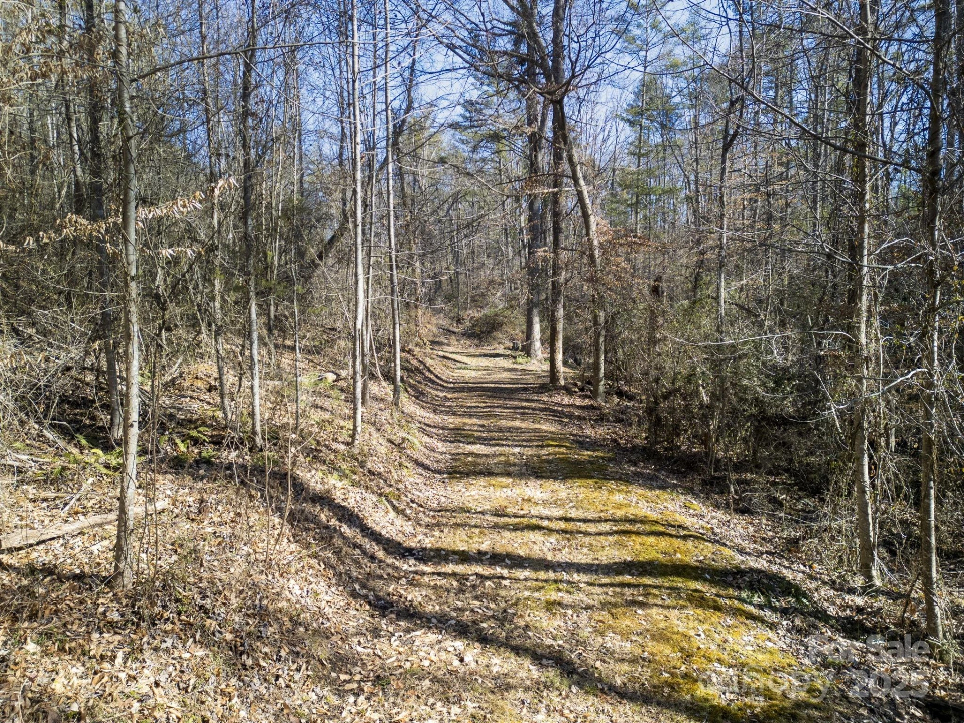 99999 Monticello Road - Photo 6