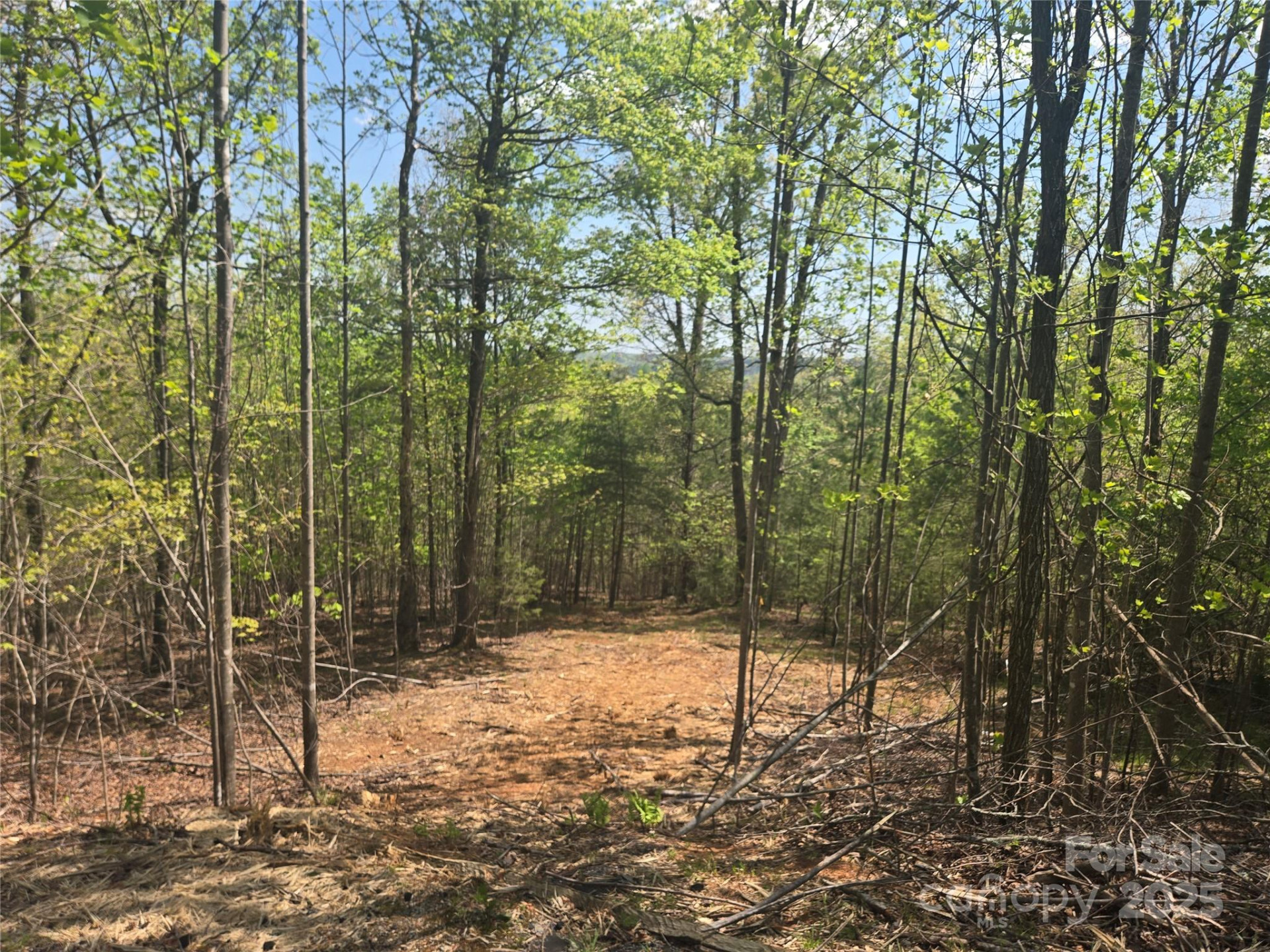 Lot 13 Back Hollow Drive