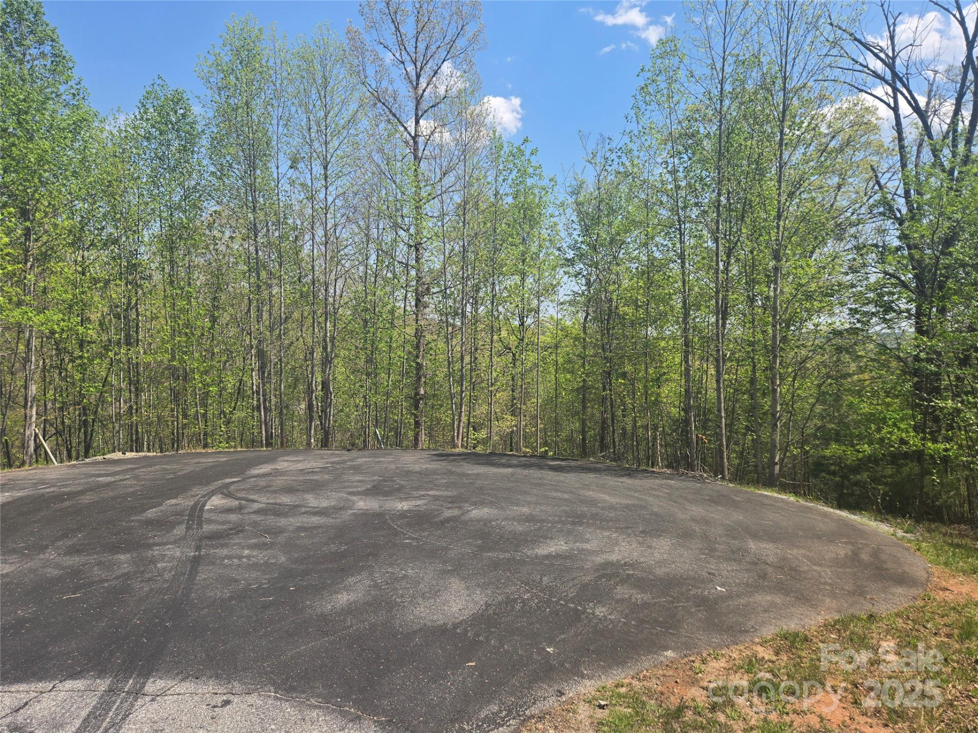 Lot 13 Back Hollow Drive - Photo 2