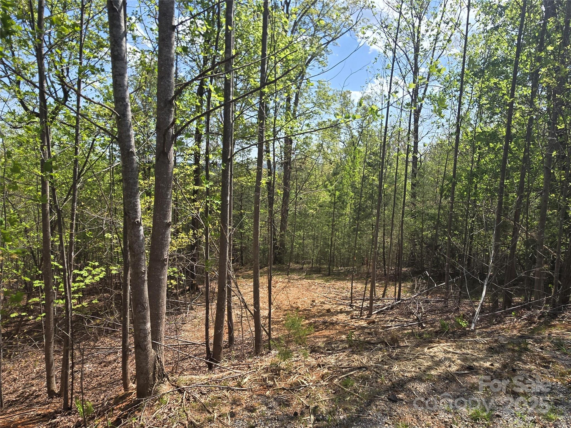 Lot 13 Back Hollow Drive - Photo 11