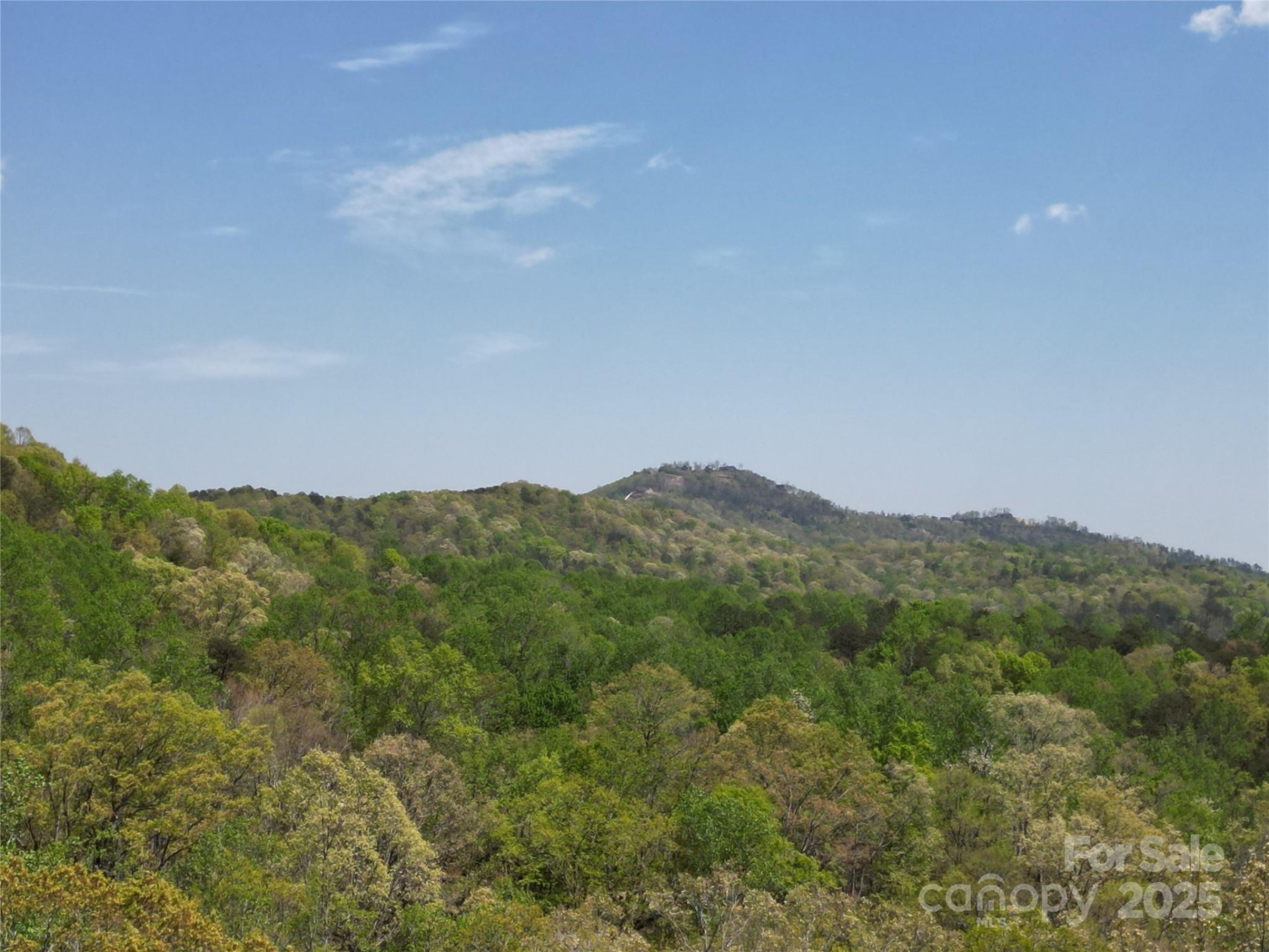 Lot 13 Back Hollow Drive - Photo 3