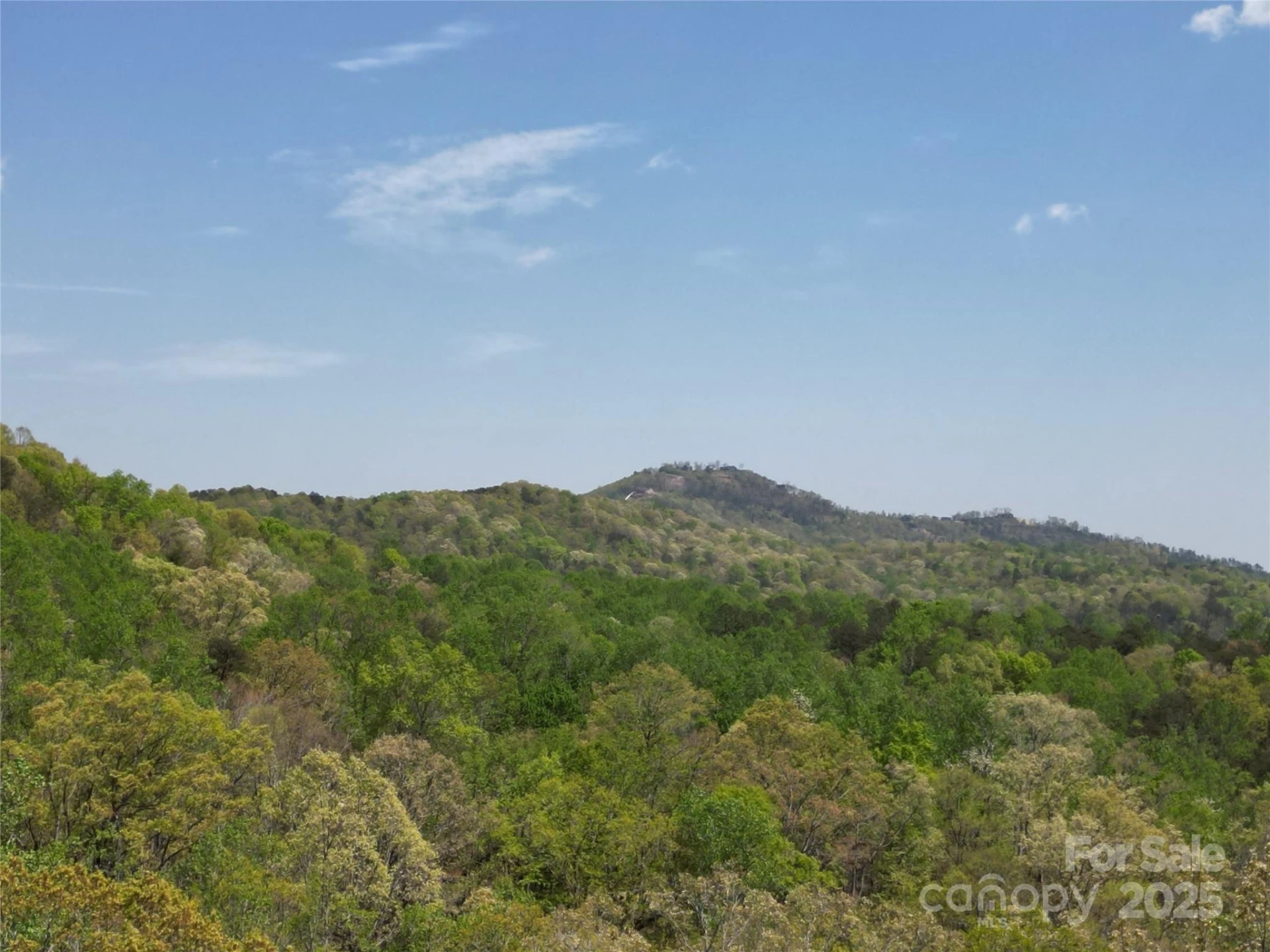 Lot 13 Back Hollow Drive - Photo 3