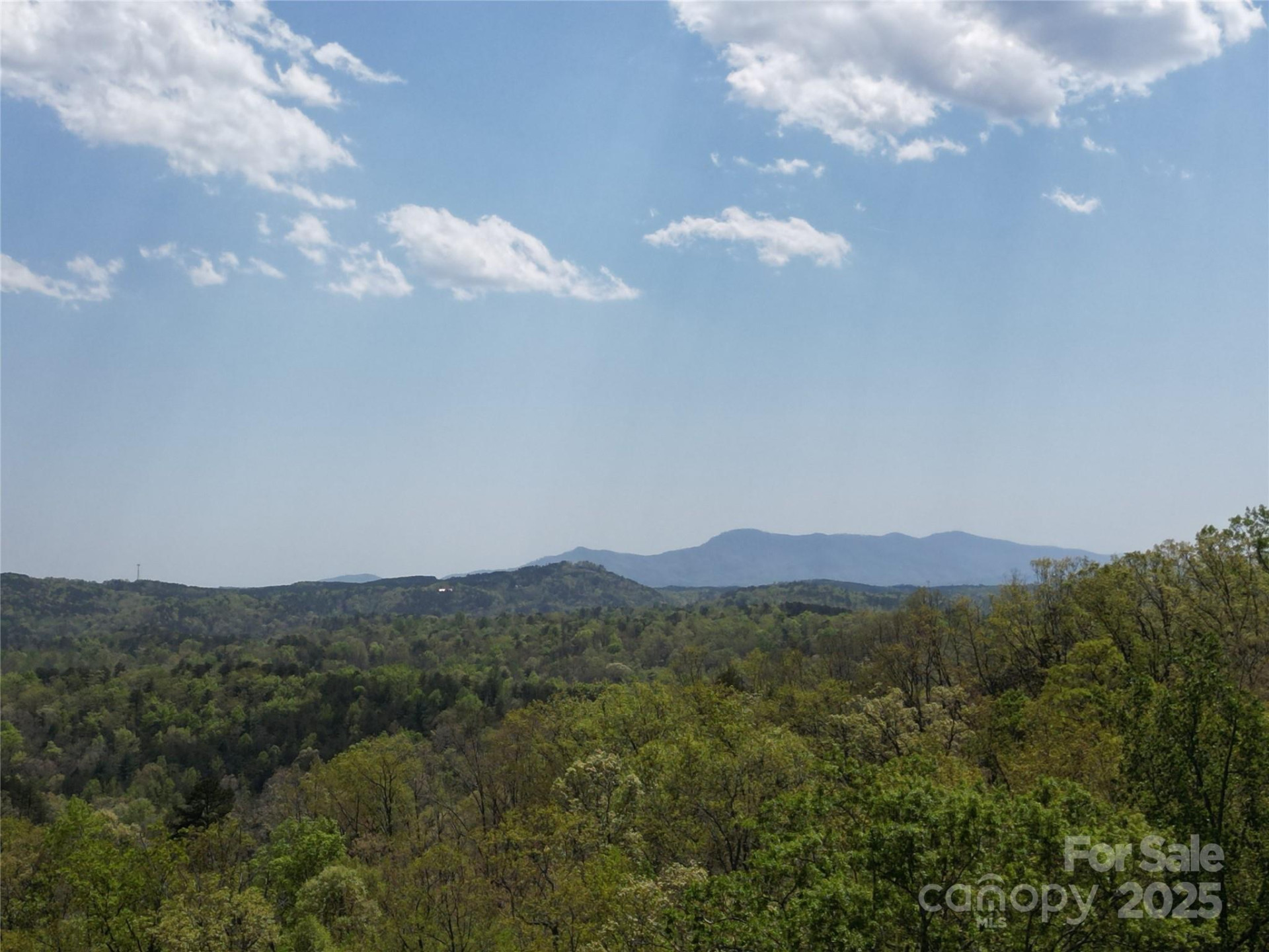 Lot 13 Back Hollow Drive - Photo 4