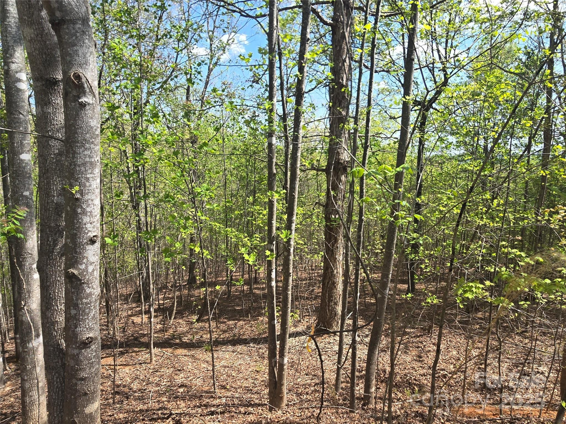 Lot 13 Back Hollow Drive - Photo 5