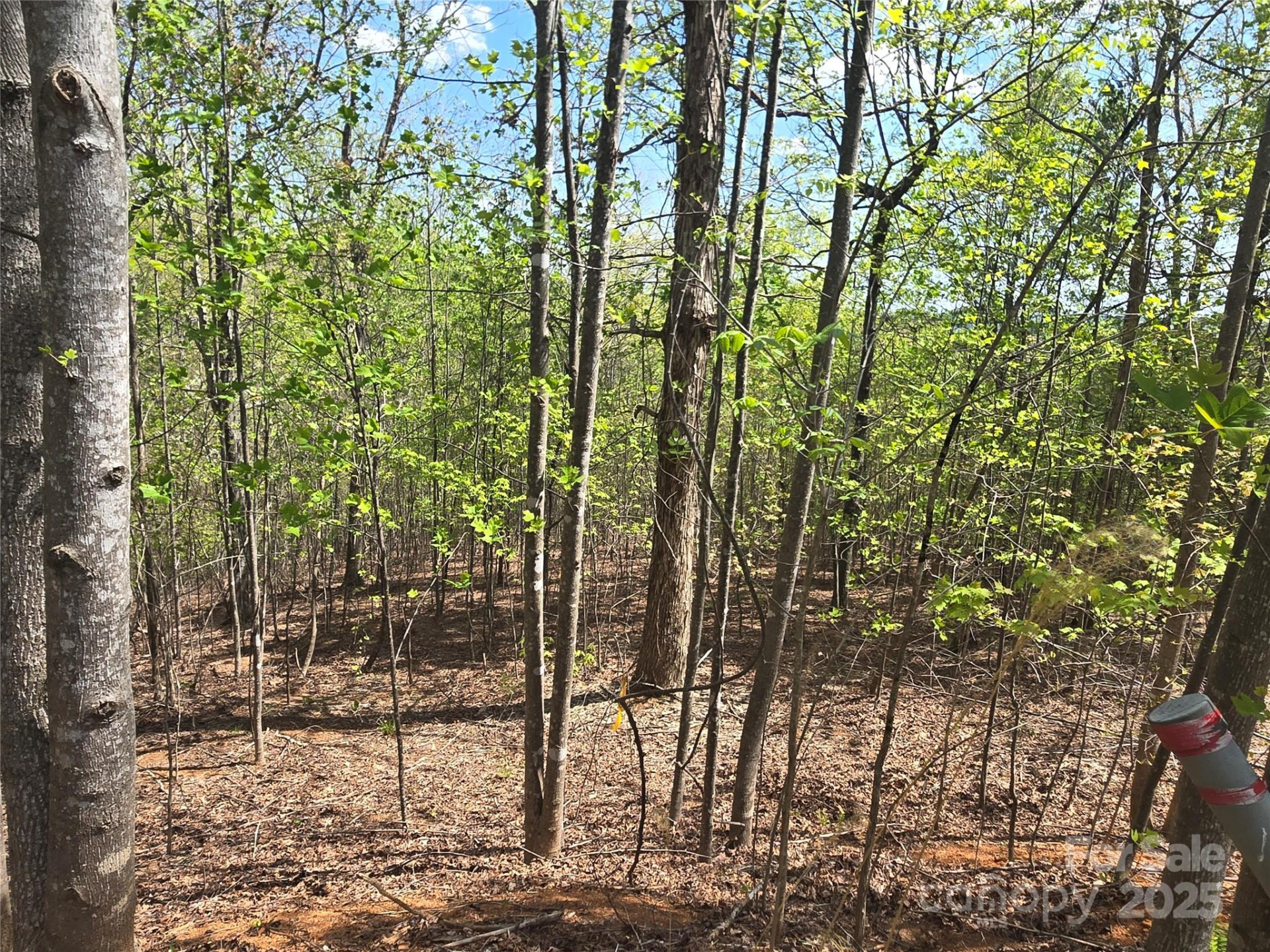 Lot 13 Back Hollow Drive - Photo 6