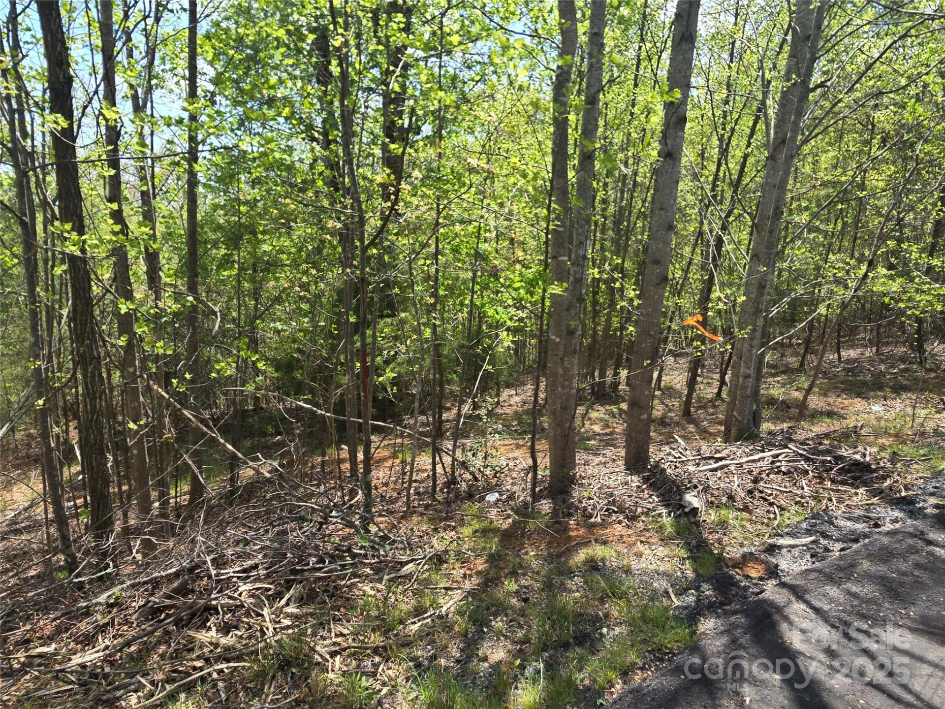 Lot 13 Back Hollow Drive - Photo 7