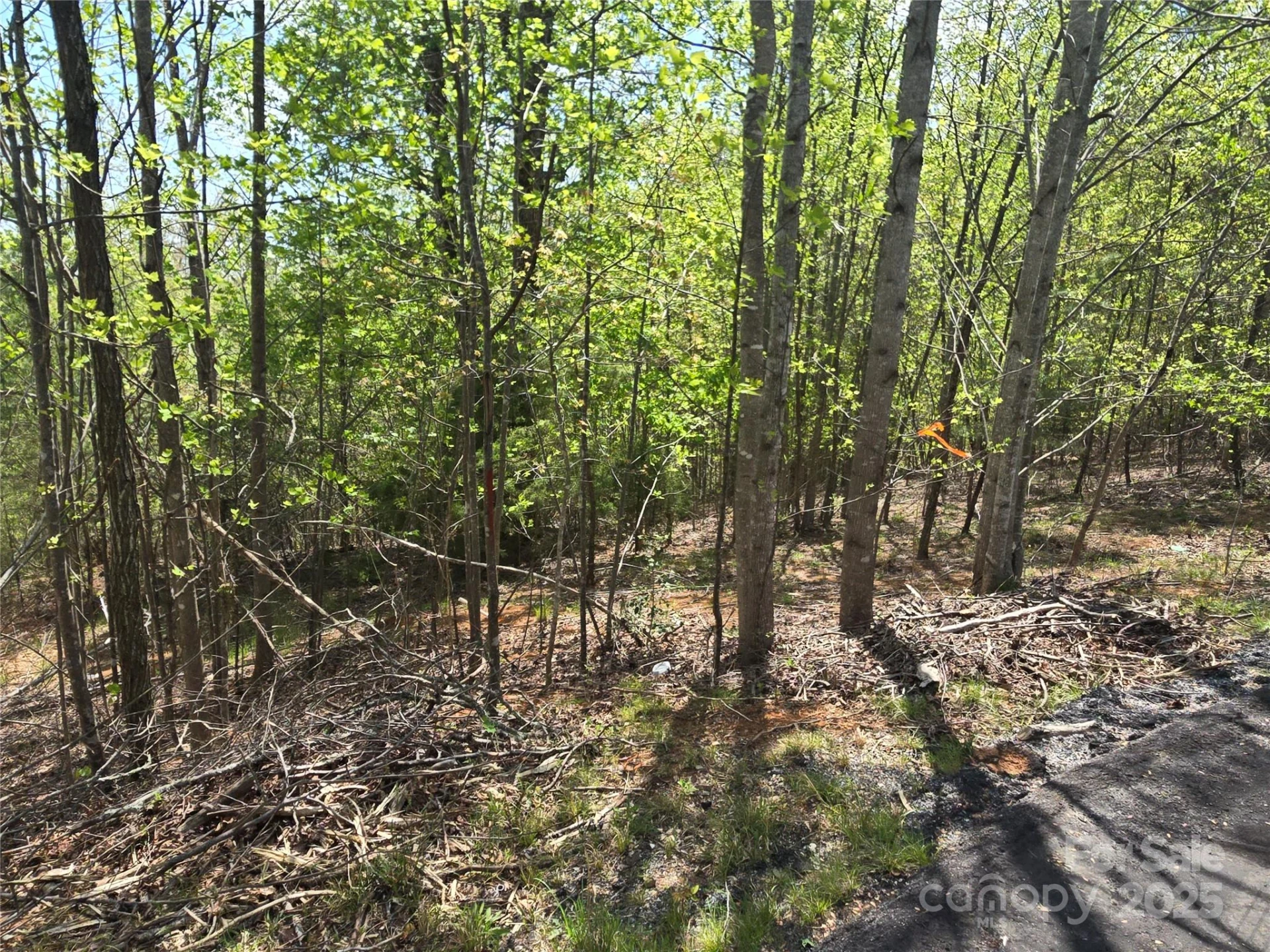 Lot 13 Back Hollow Drive - Photo 7