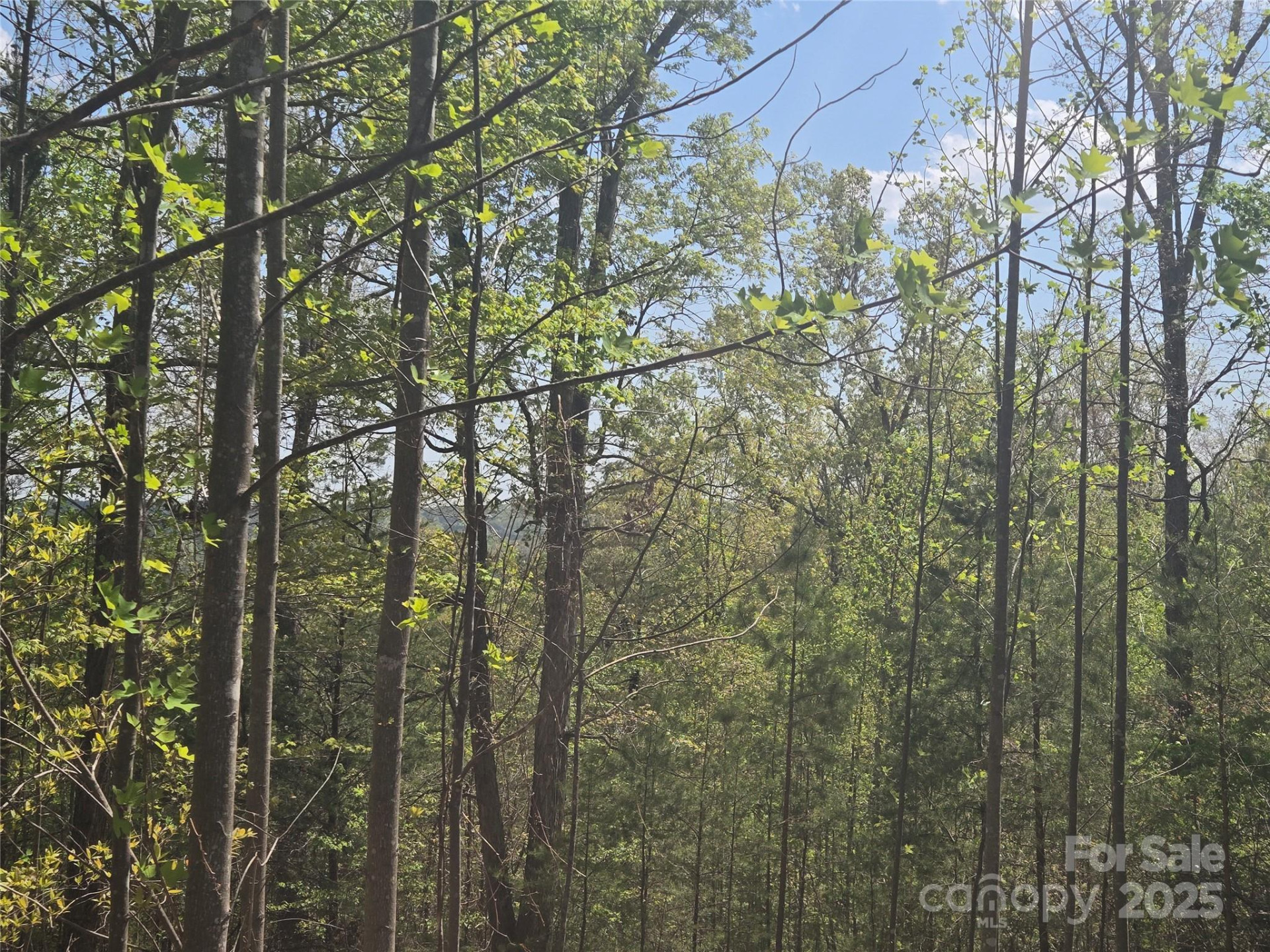 Lot 13 Back Hollow Drive - Photo 8