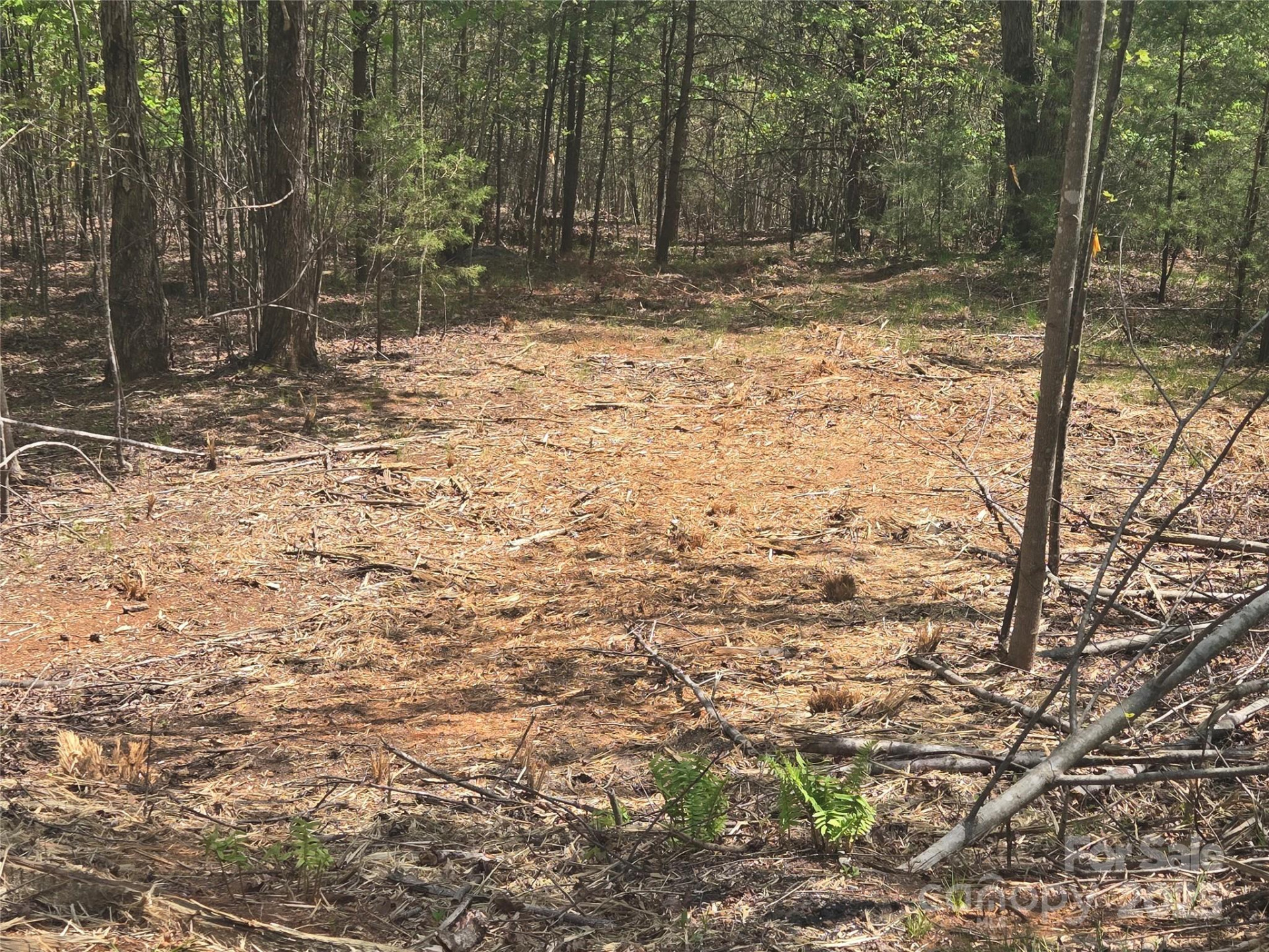 Lot 13 Back Hollow Drive - Photo 9