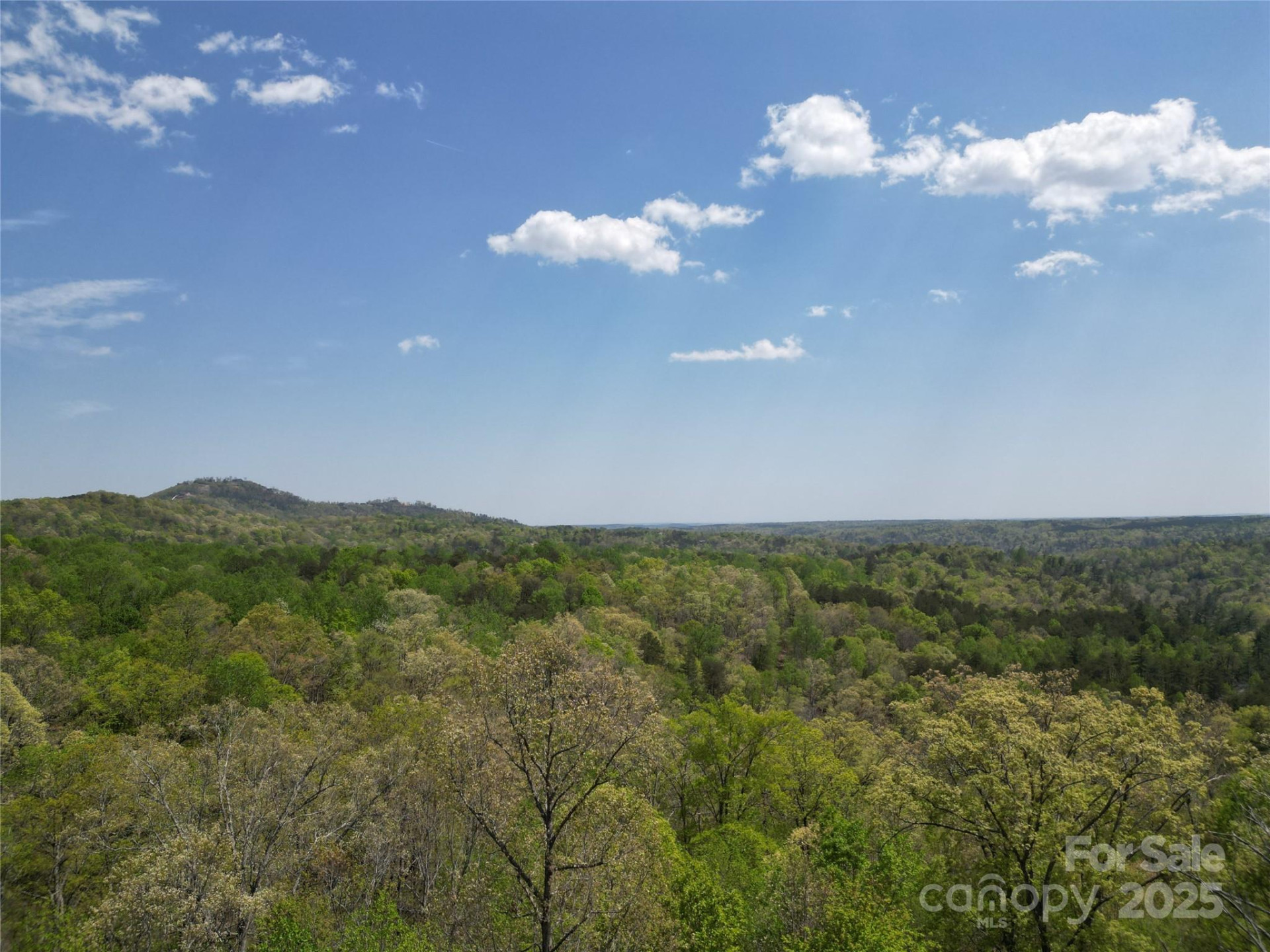 Lot 13 Back Hollow Drive - Photo 10
