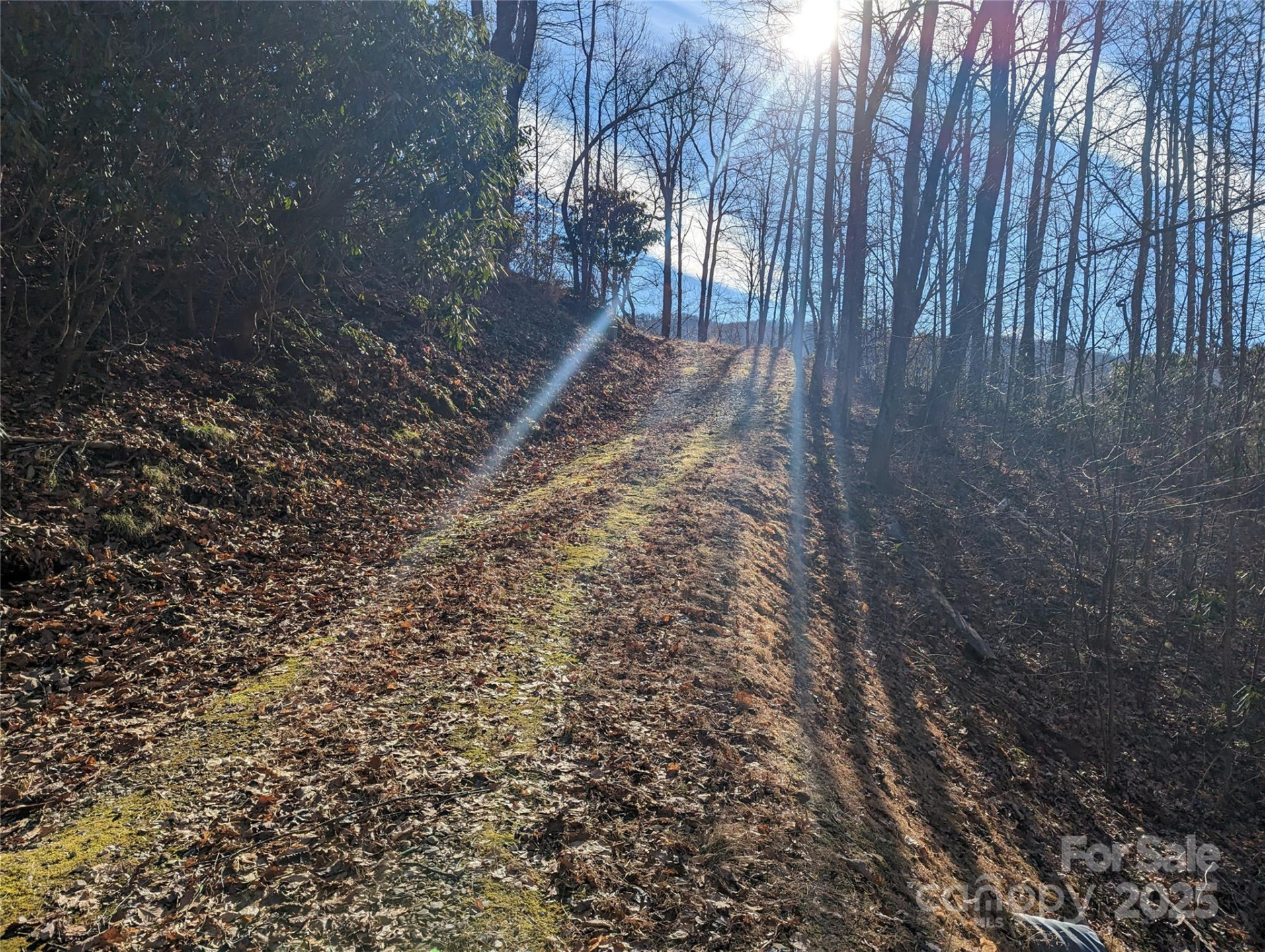 367 Kestrel Lane #T-85 - Photo 3