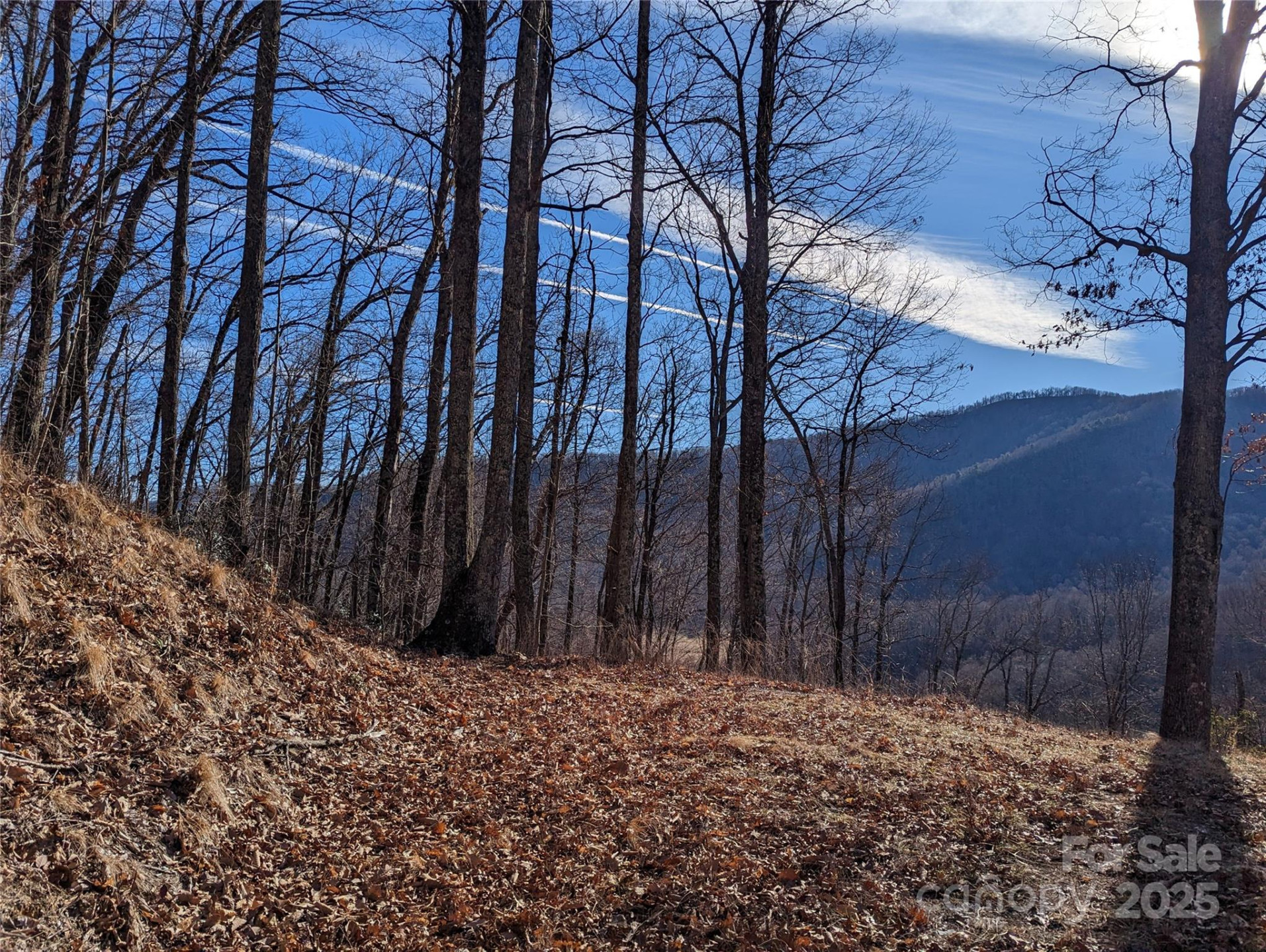 367 Kestrel Lane #T-85 - Photo 4