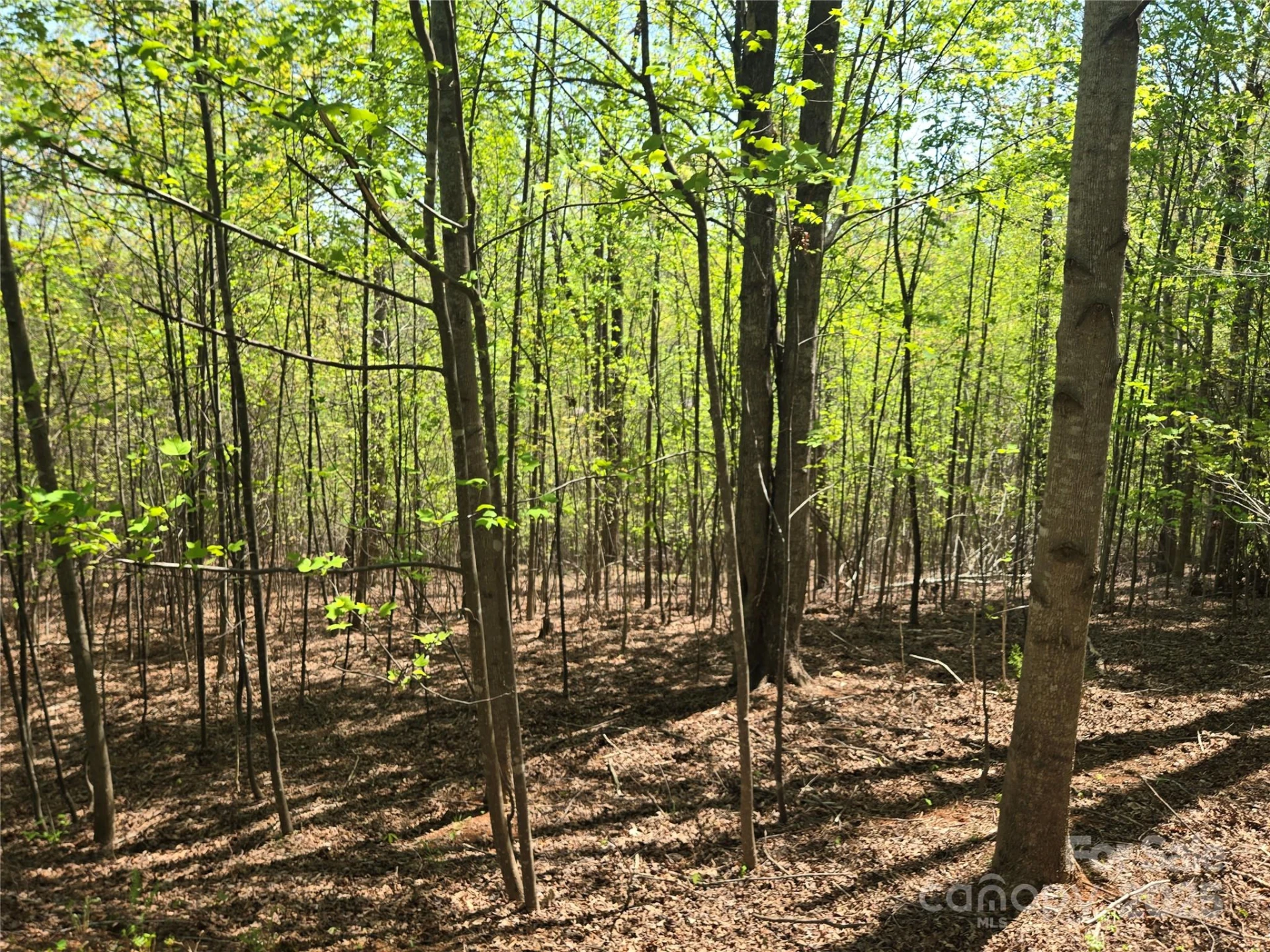 Lot 14 Back Hollow Drive