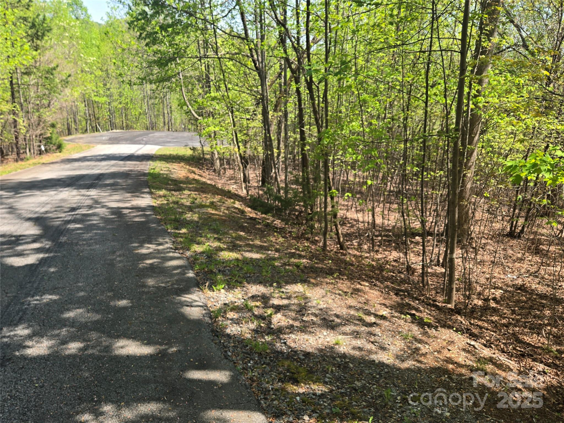 Lot 14 Back Hollow Drive - Photo 2