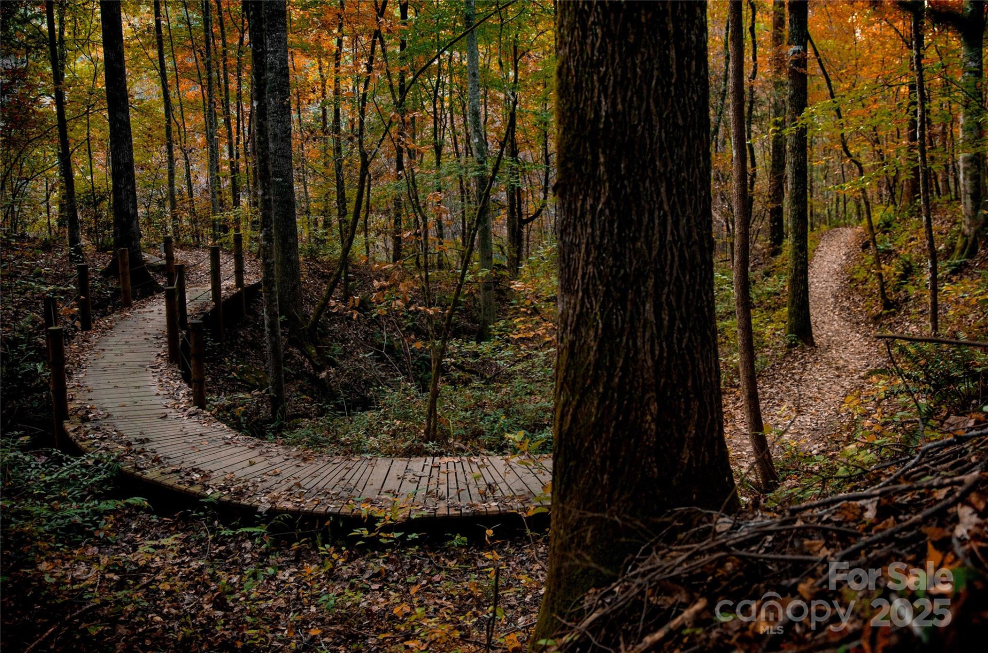 Lot 14 Back Hollow Drive - Photo 15