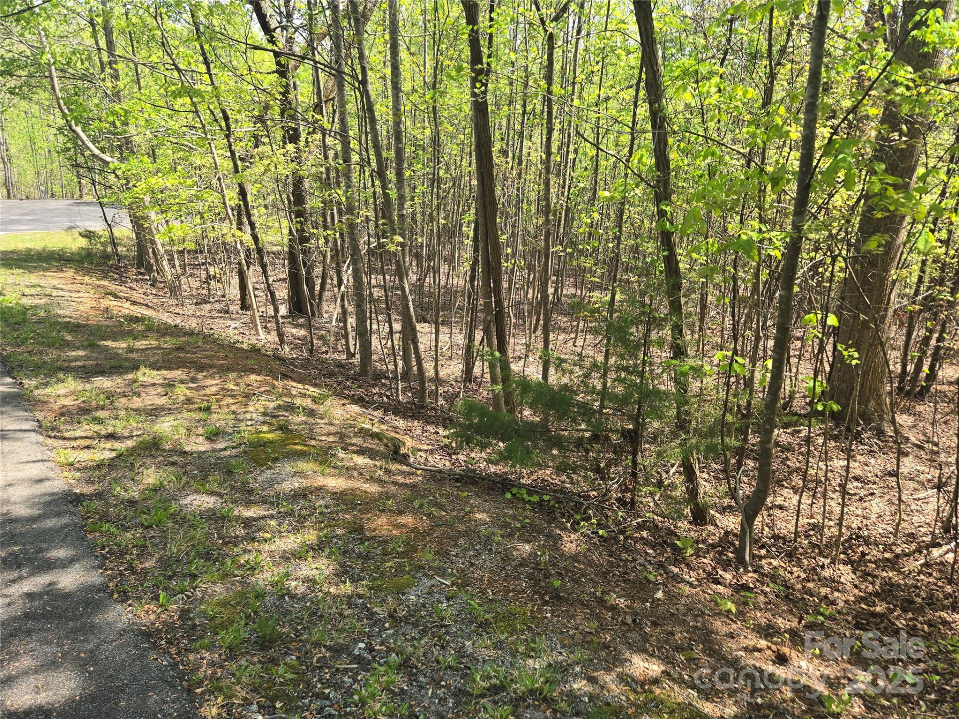 Lot 14 Back Hollow Drive - Photo 3