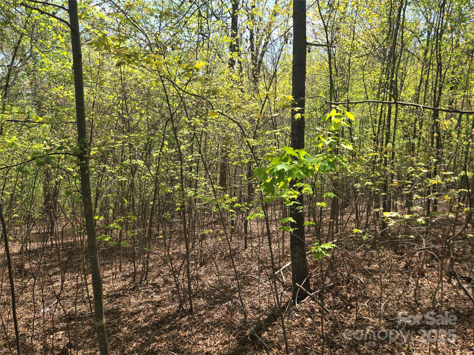 Lot 14 Back Hollow Drive - Photo 4