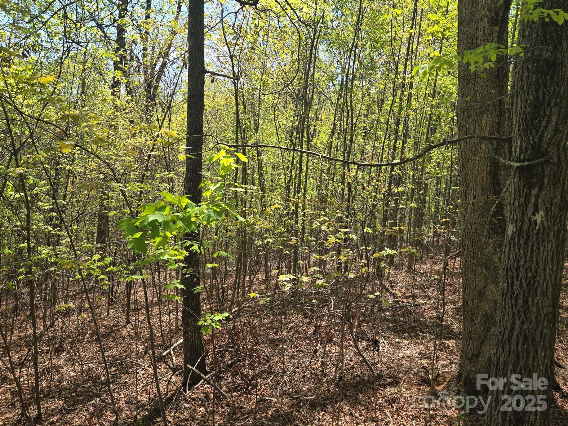 Lot 14 Back Hollow Drive - Photo 5
