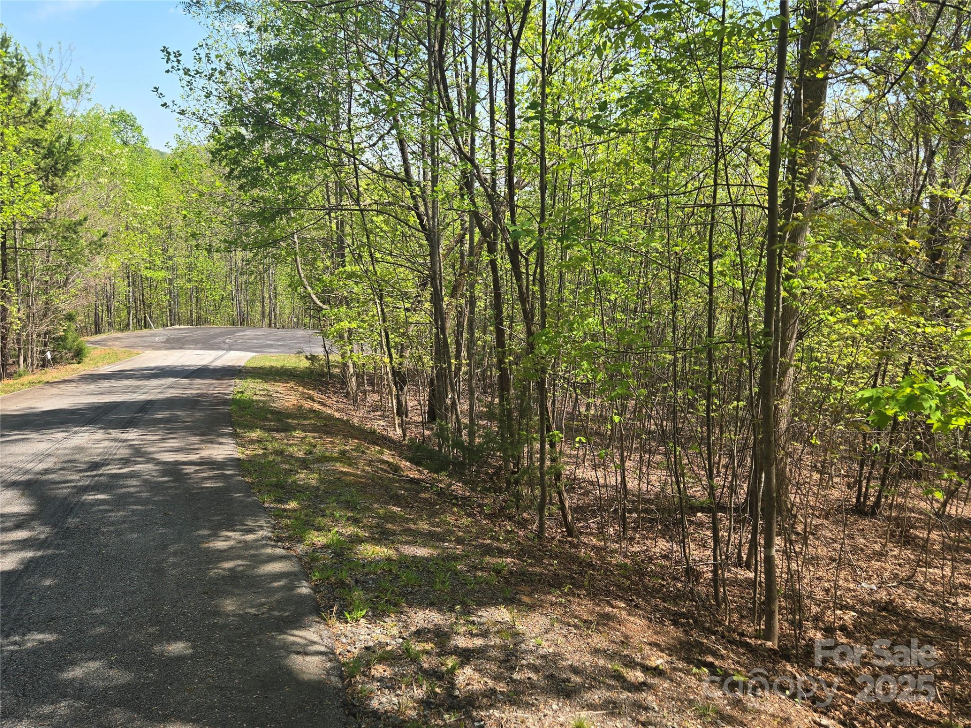Lot 14 Back Hollow Drive - Photo 6