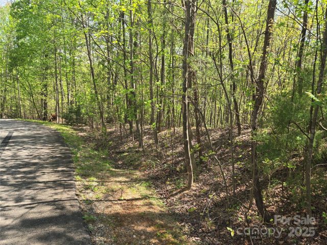 Lot 15 Touch Me Not Trail