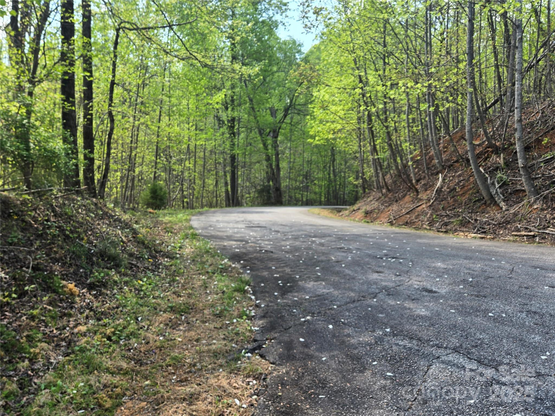 Lot 15 Touch Me Not Trail - Photo 2