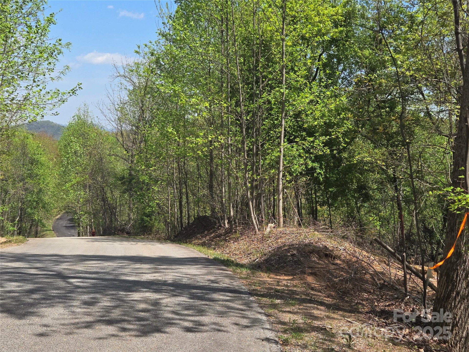 Lot 16 High Rock Ridge - Photo 2