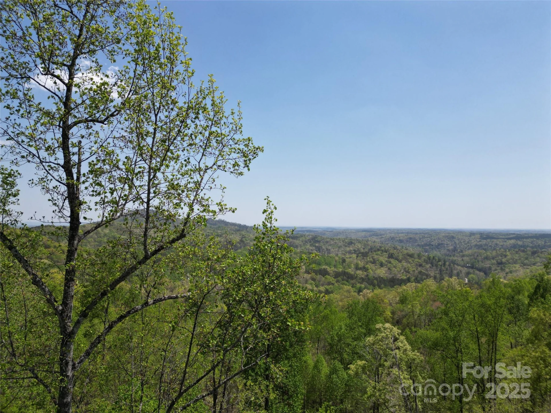 Lot 16 High Rock Ridge - Photo 12