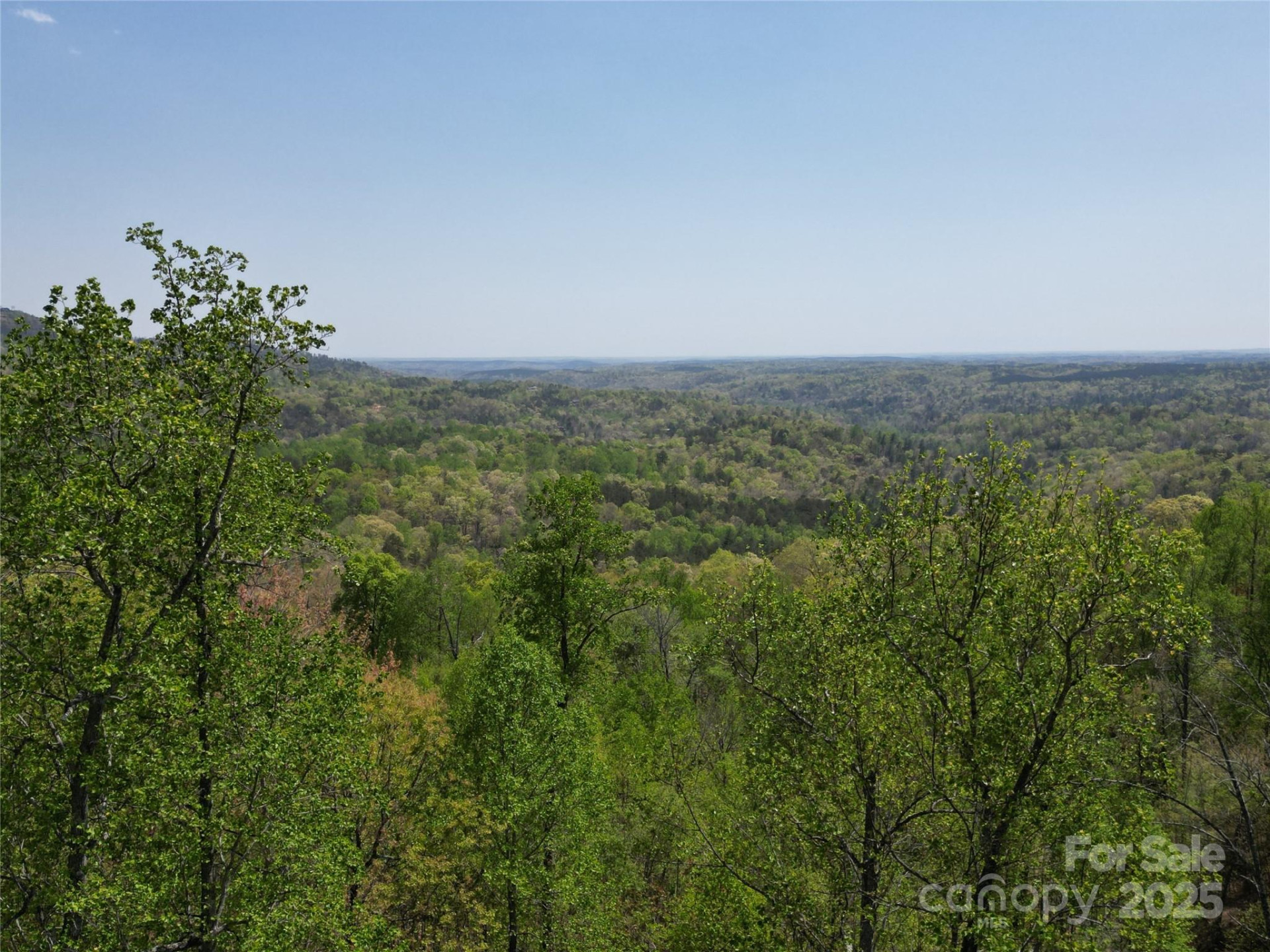 Lot 16 High Rock Ridge - Photo 3