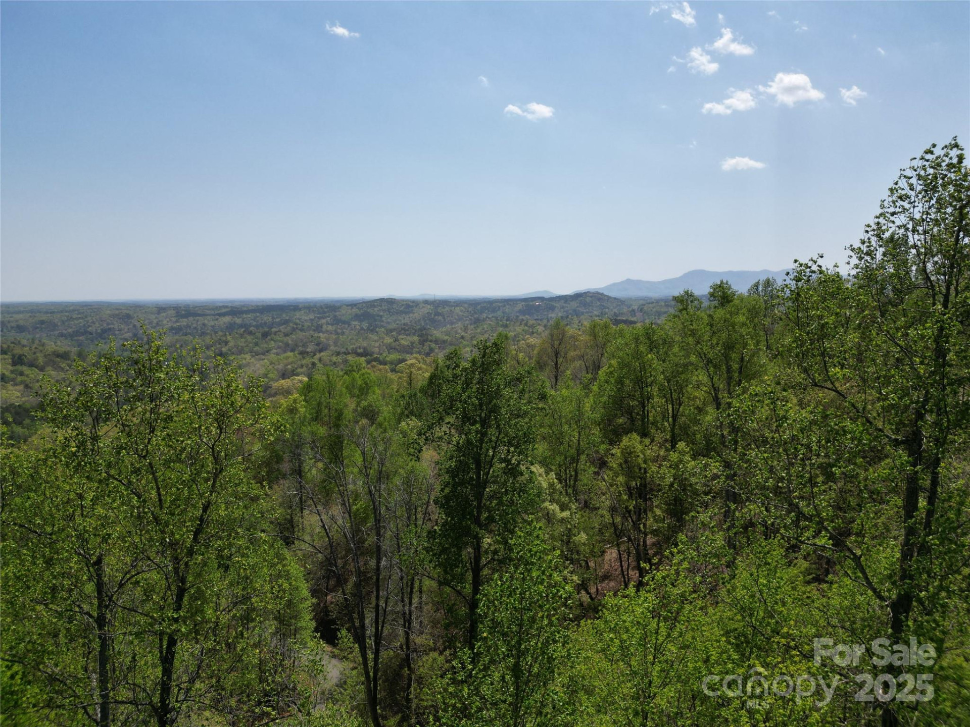 Lot 16 High Rock Ridge - Photo 4