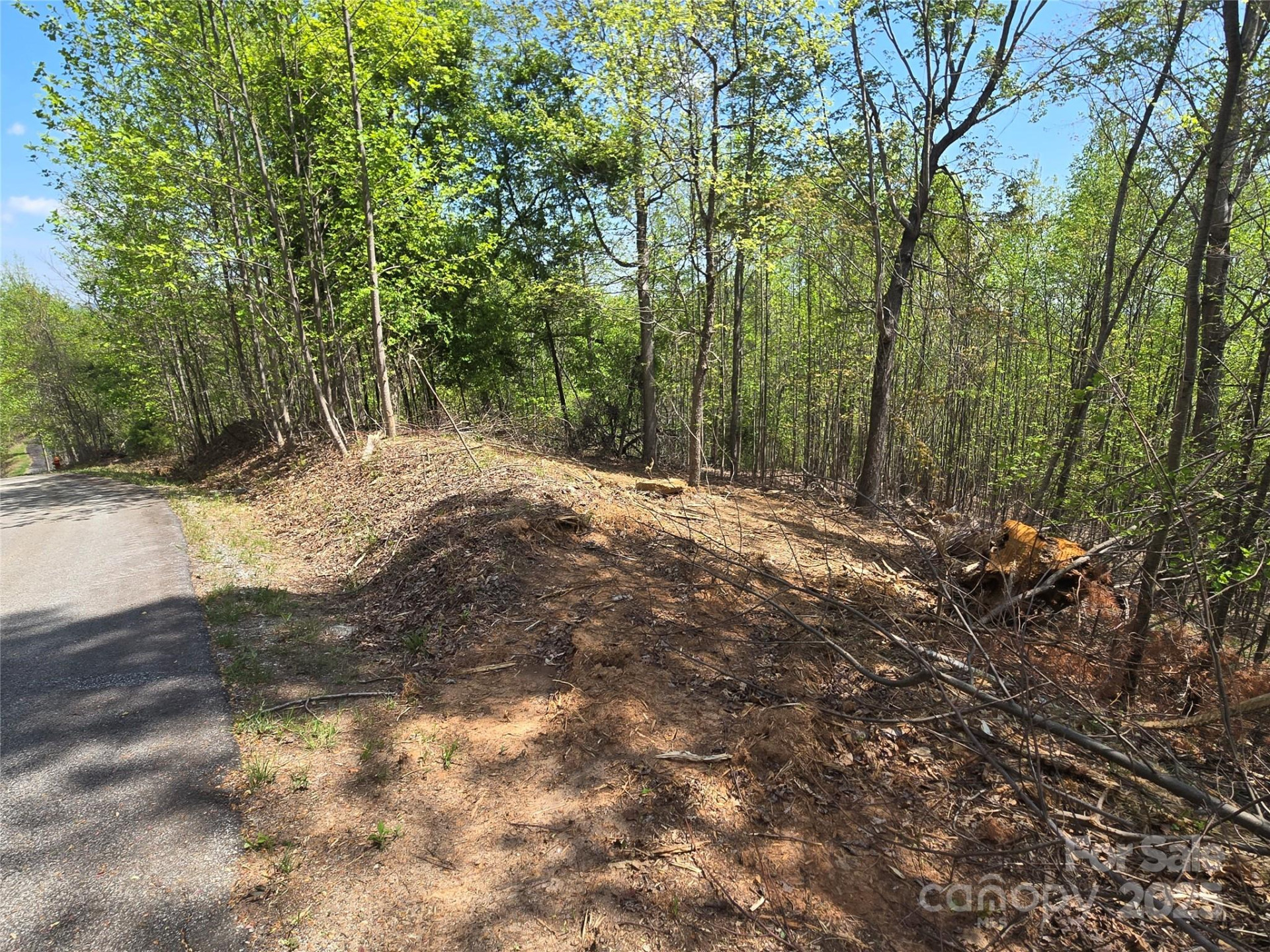 Lot 16 High Rock Ridge - Photo 6