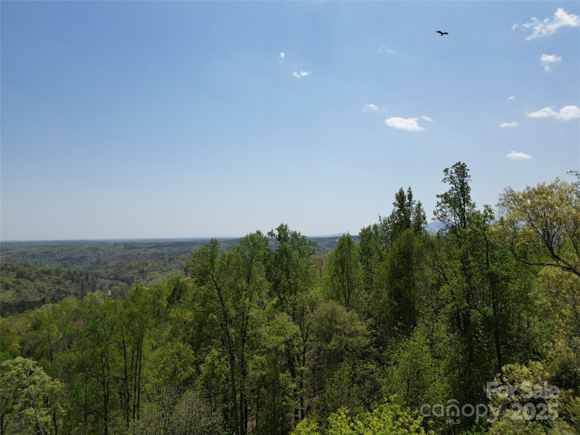 Lot 16 High Rock Ridge - Photo 8
