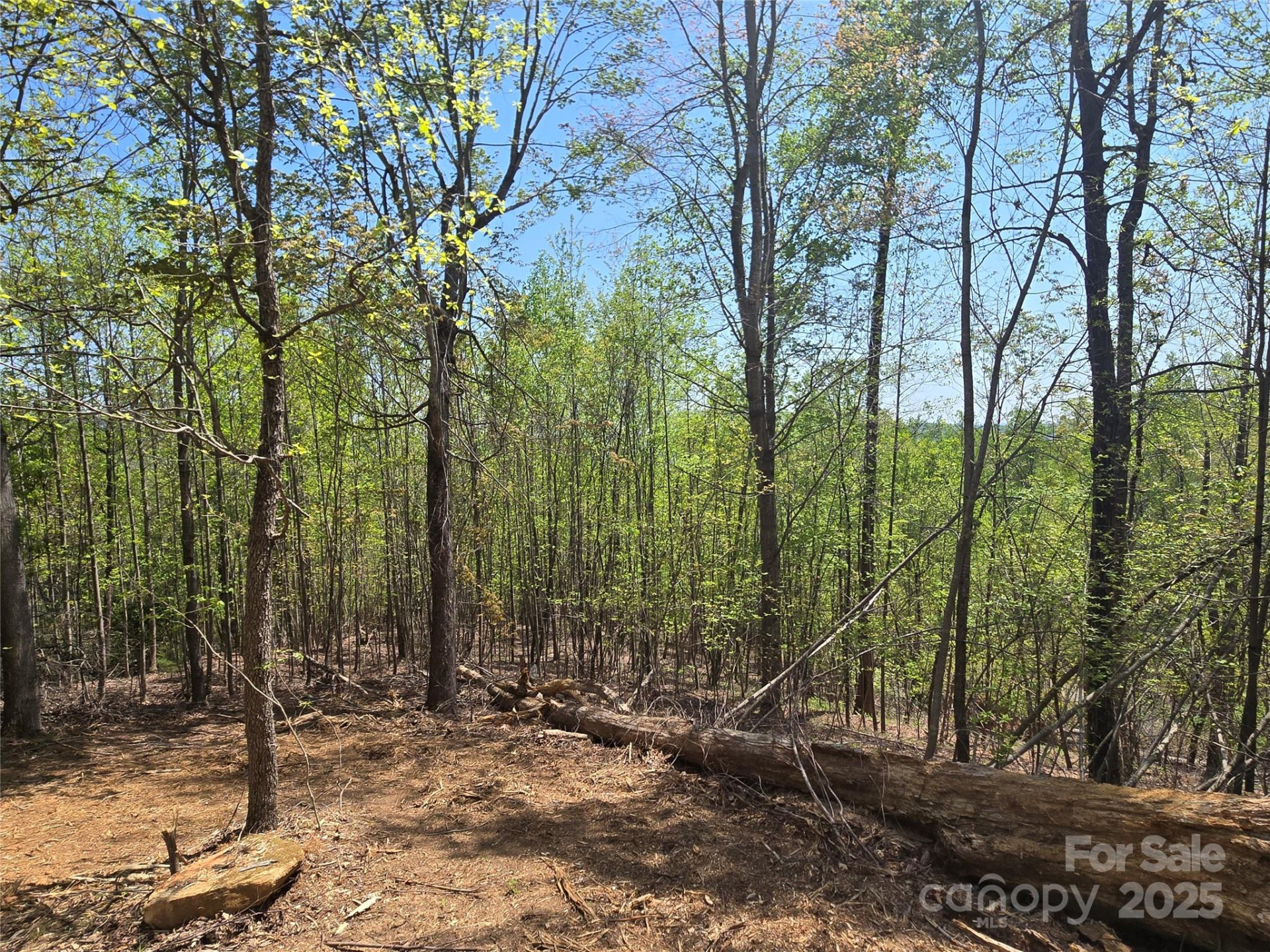 Lot 16 High Rock Ridge - Photo 9