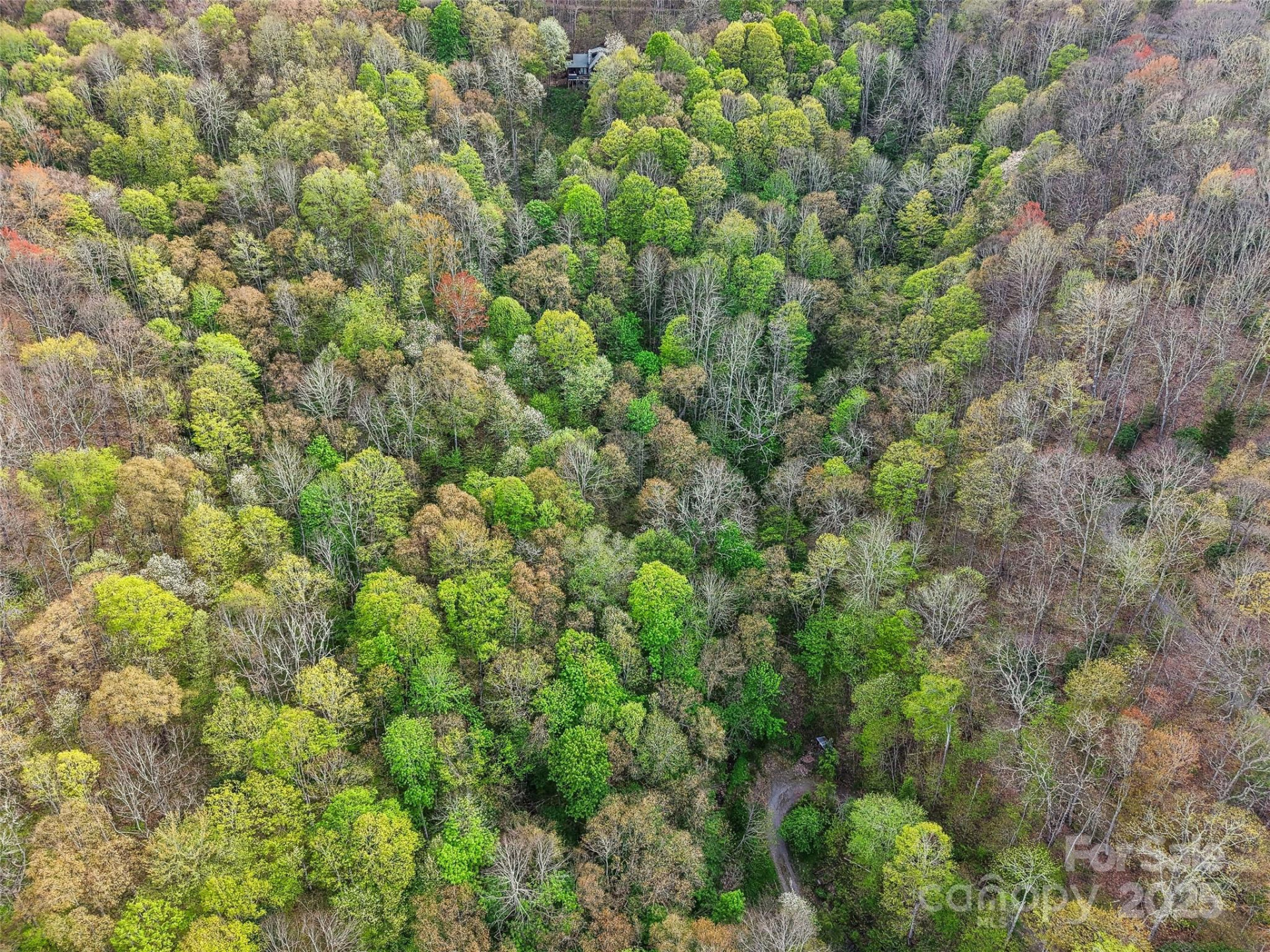 0 Star Crest Drive - Photo 11