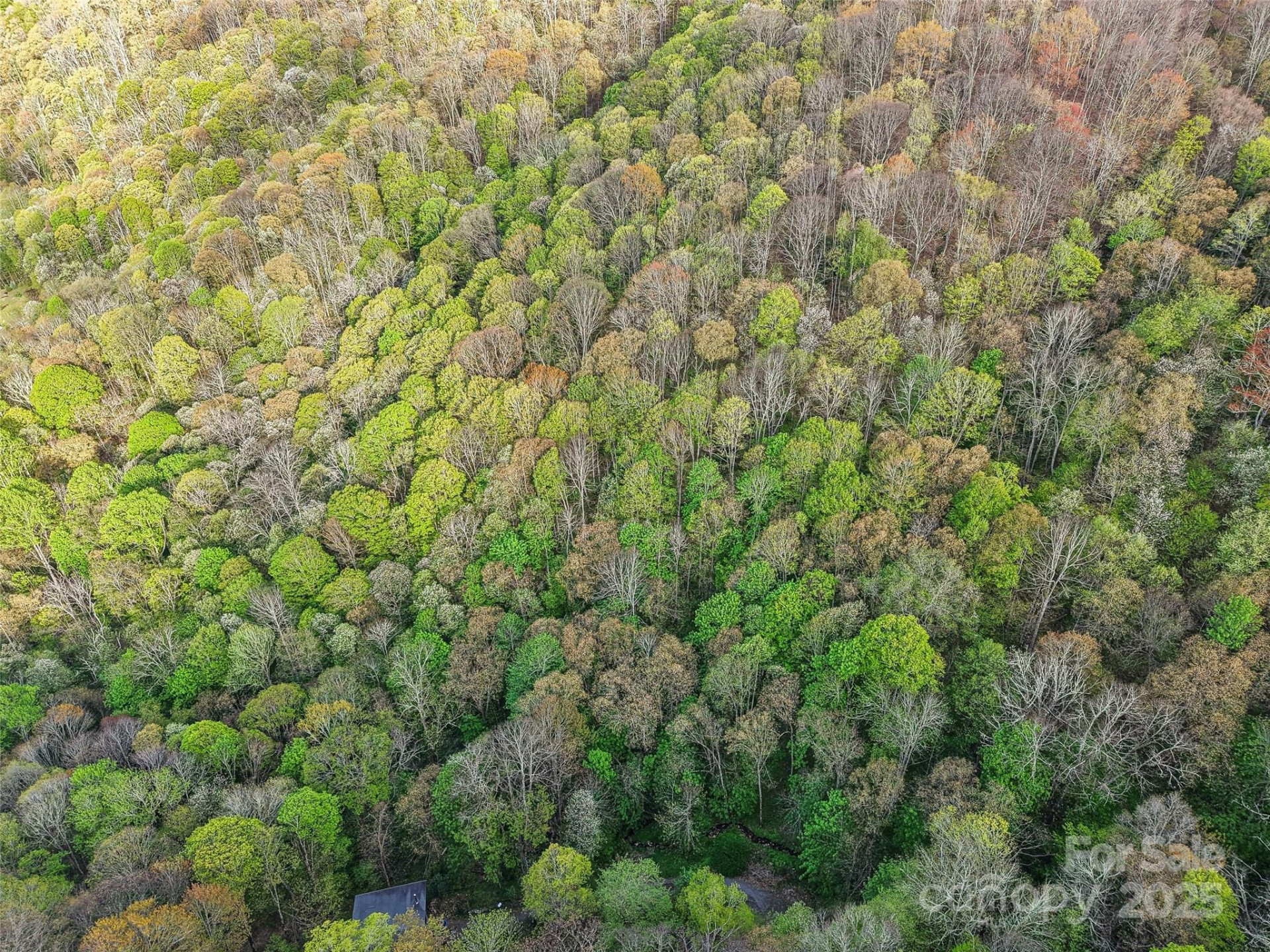 0 Star Crest Drive - Photo 15