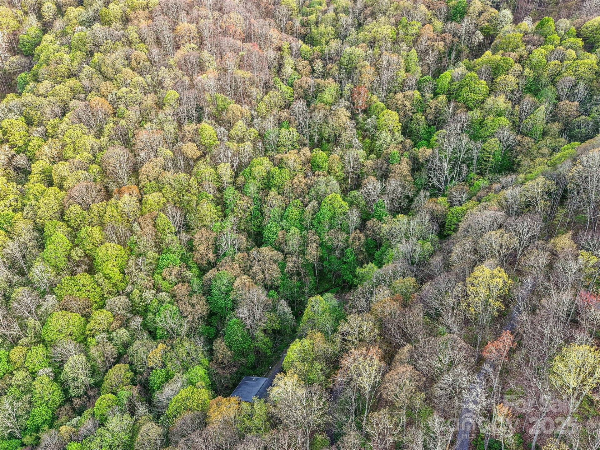 0 Star Crest Drive - Photo 16