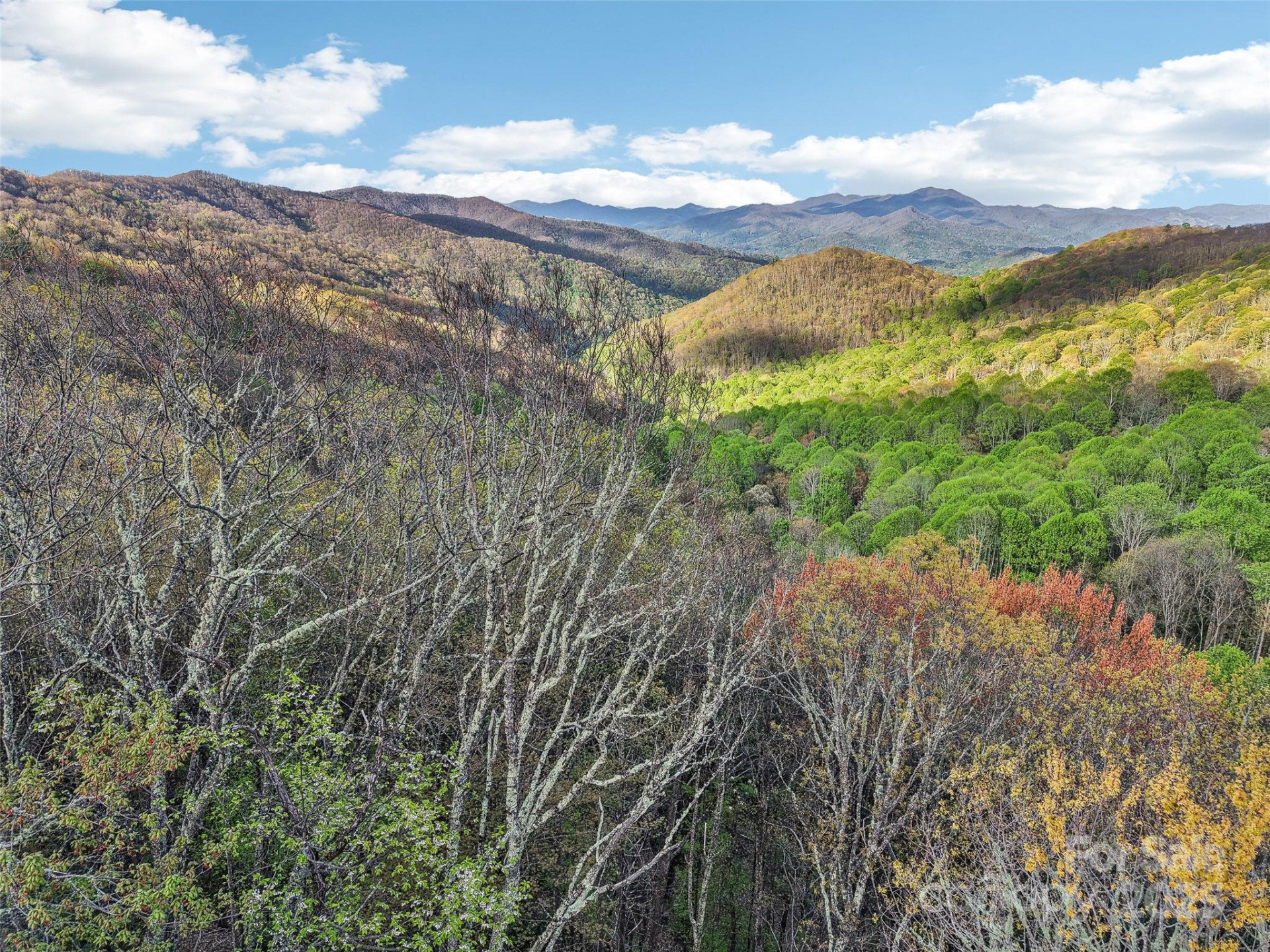 0 Star Crest Drive - Photo 17