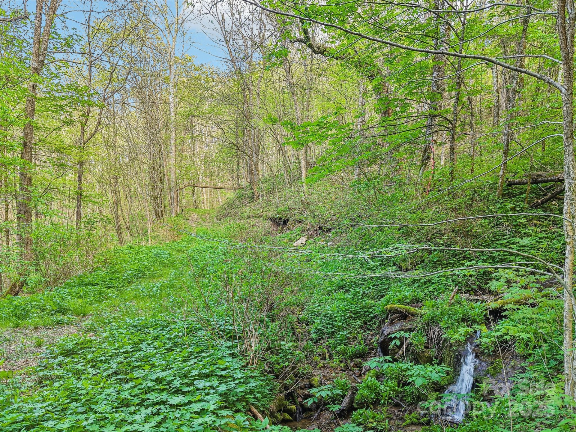 0 Star Crest Drive - Photo 3